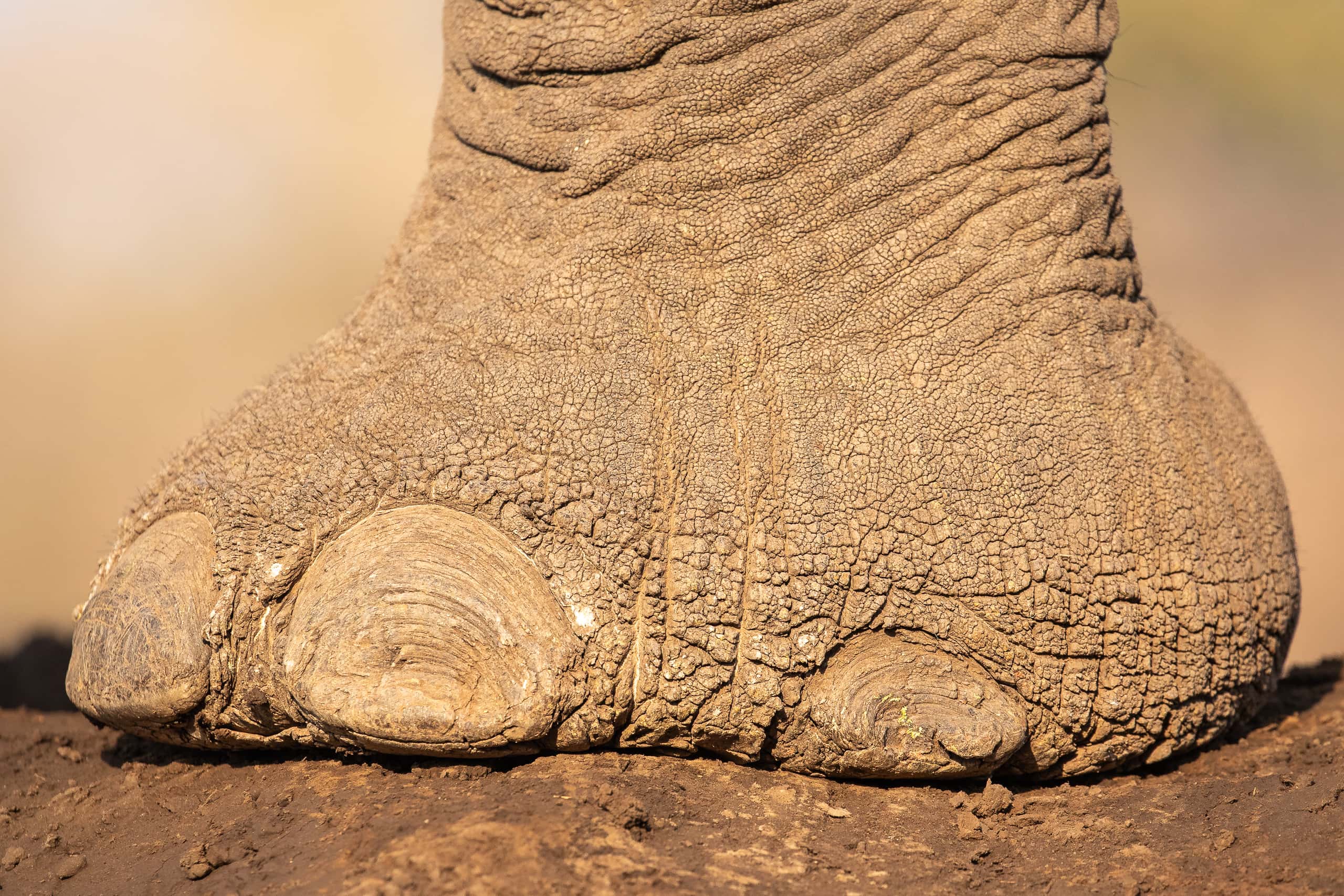 08170009082019221 ©SimonePaleari