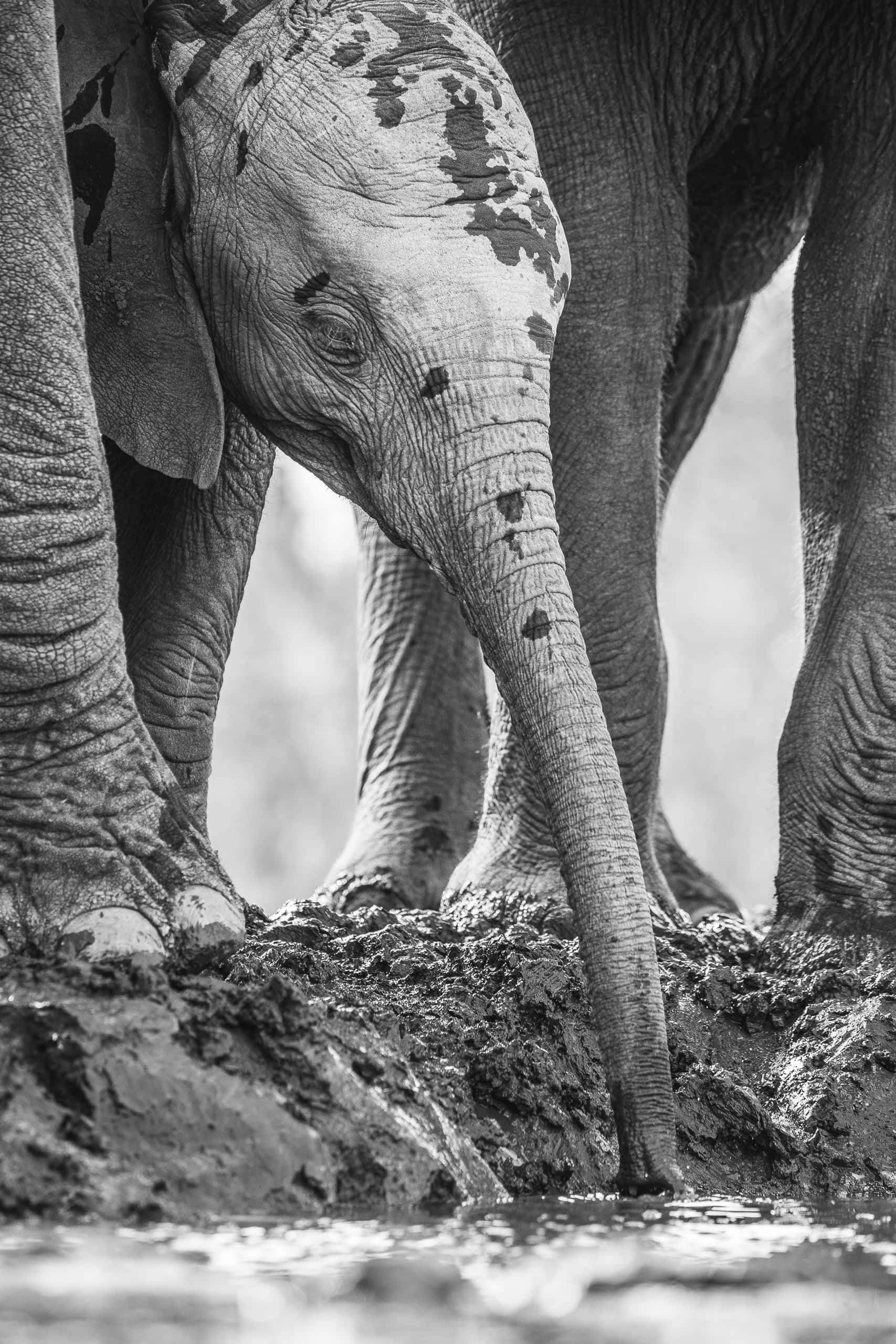 08474009082019221 ©SimonePaleari