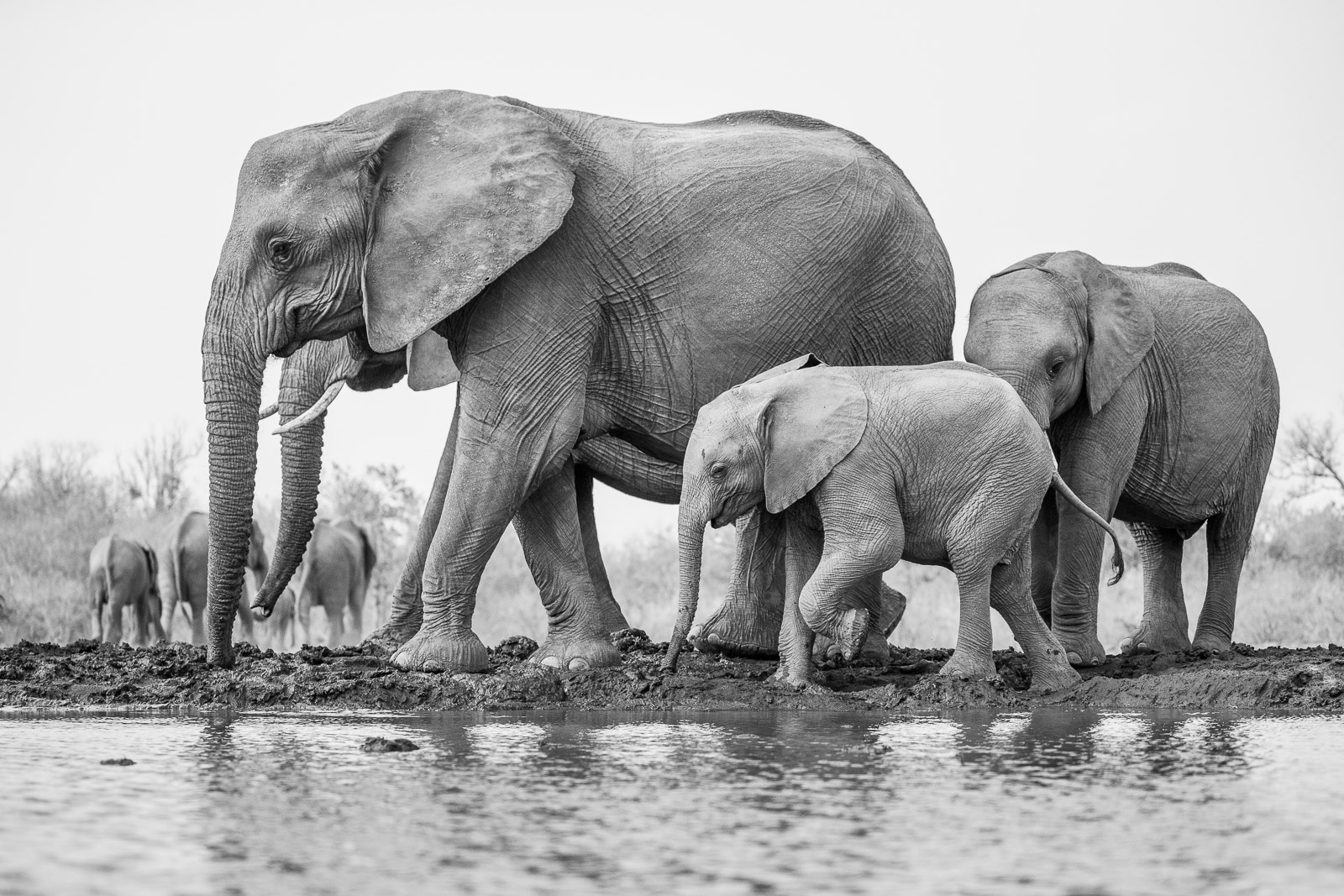 08501409082019221 ©SimonePaleari