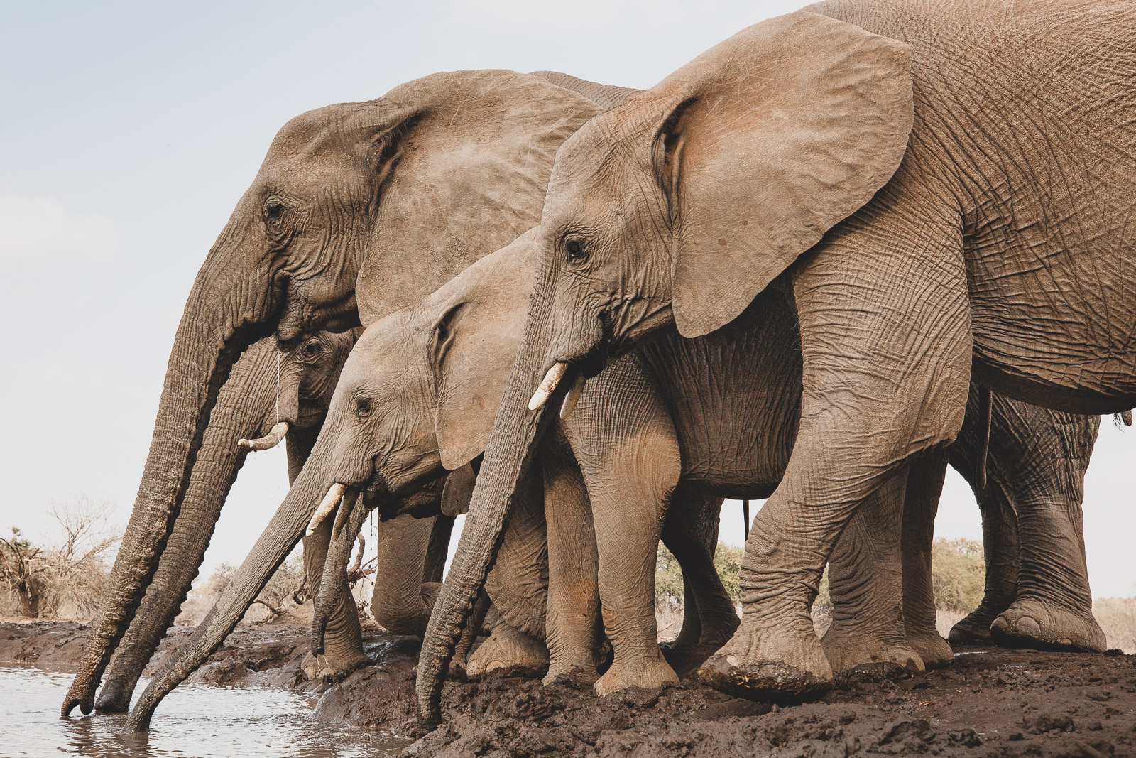 08531909082019221 ©SimonePaleari