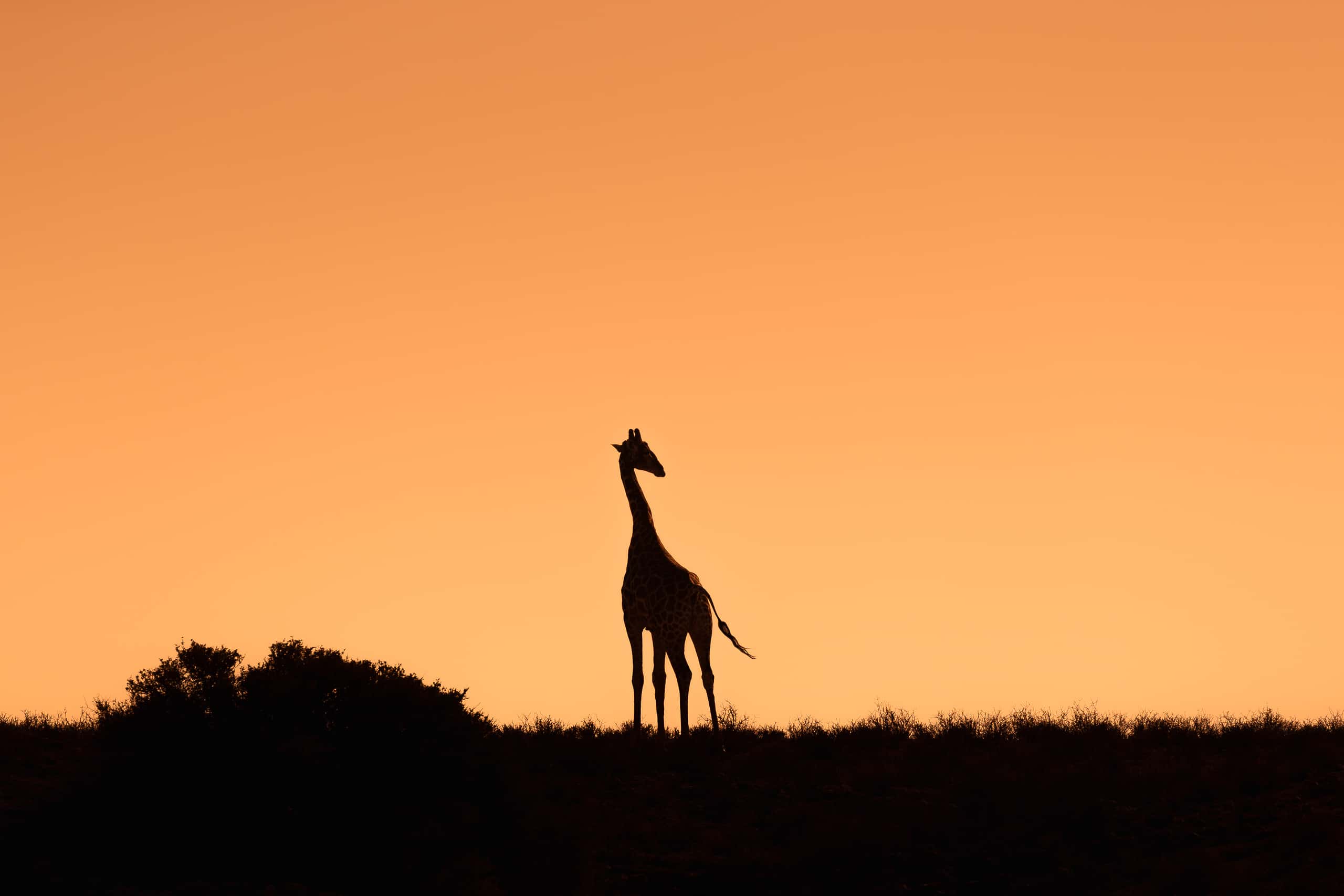 09171022082019234 2©SimonePaleari