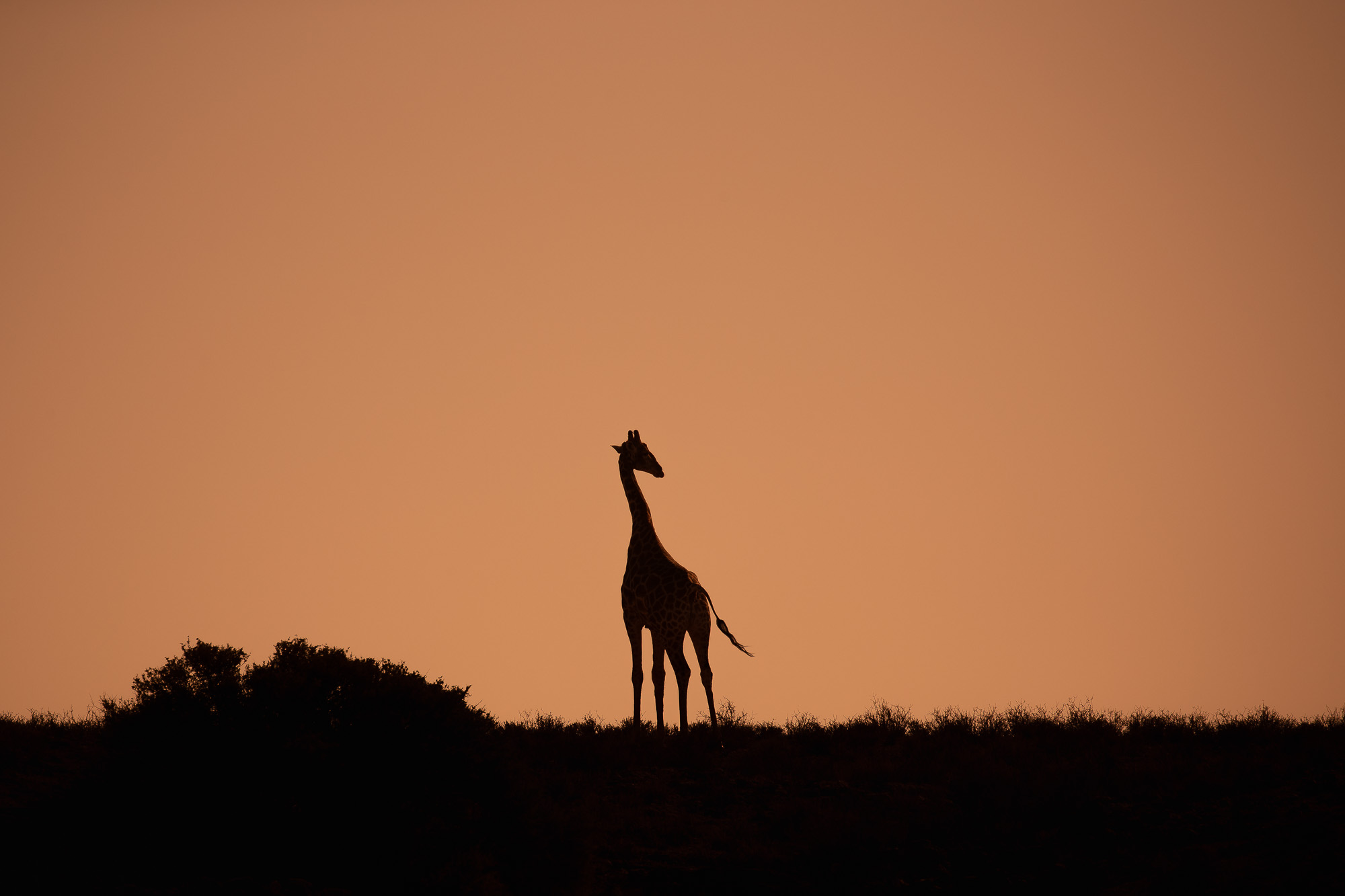 09171022082019234 ©SimonePaleari