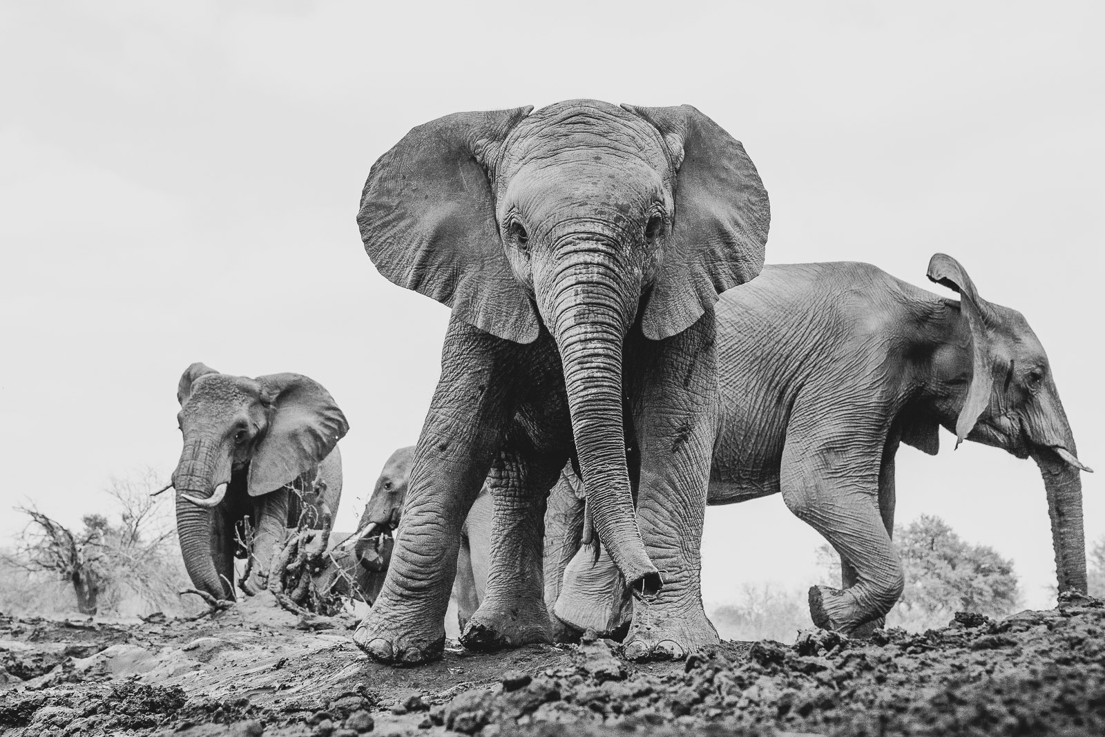 09443209082019221 ©SimonePaleari