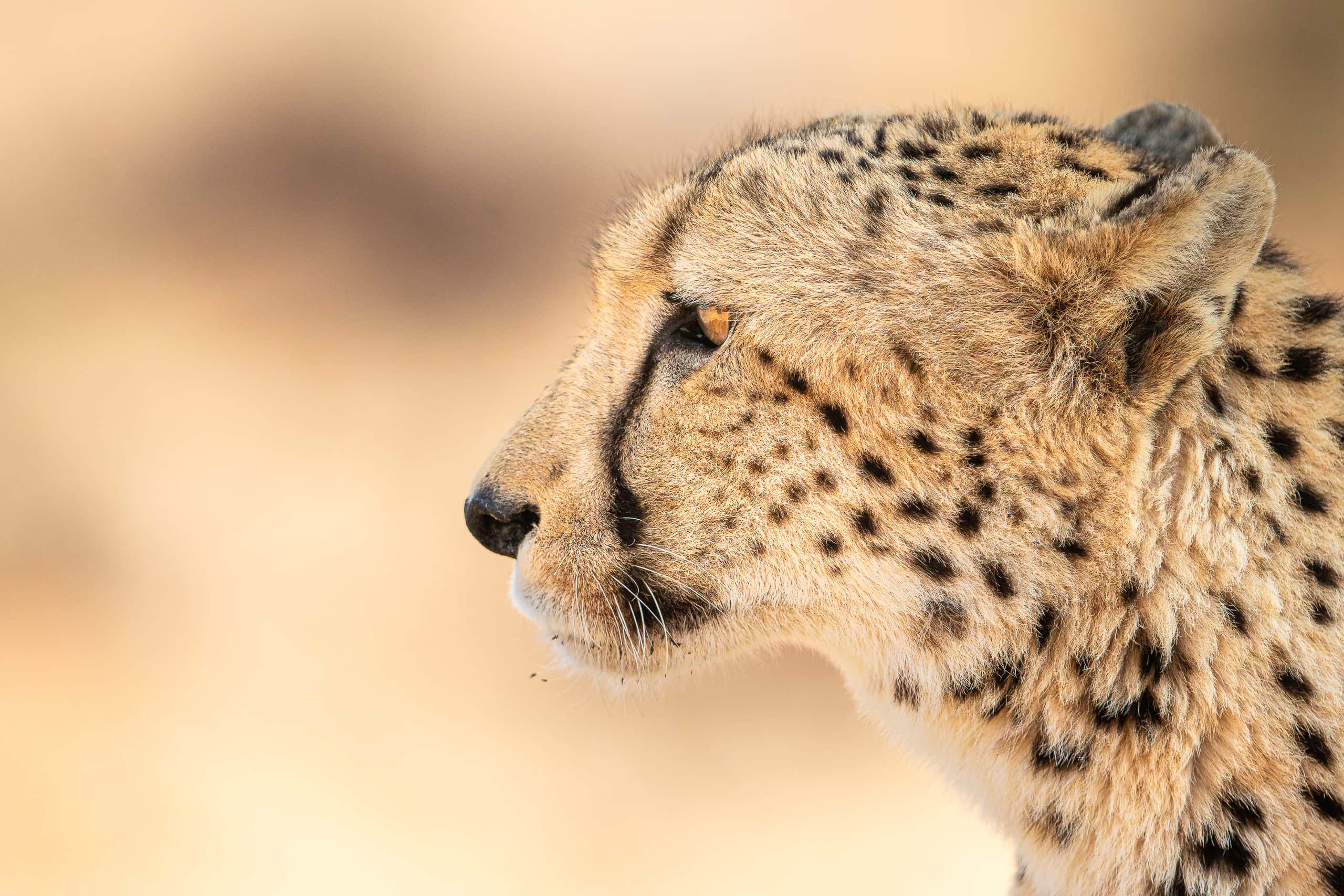 09444114082019226 ©SimonePaleari