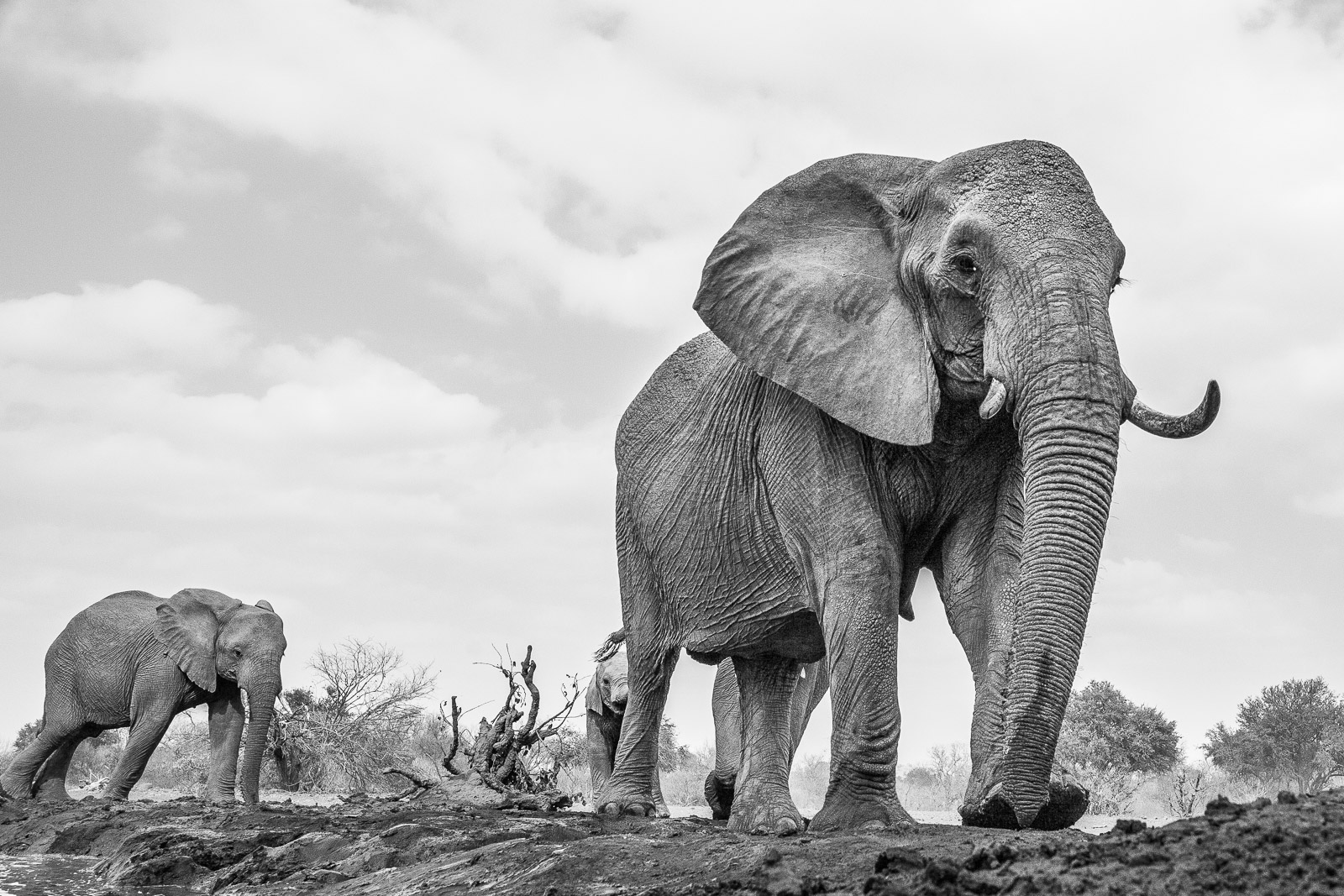 09445109082019221 ©SimonePaleari