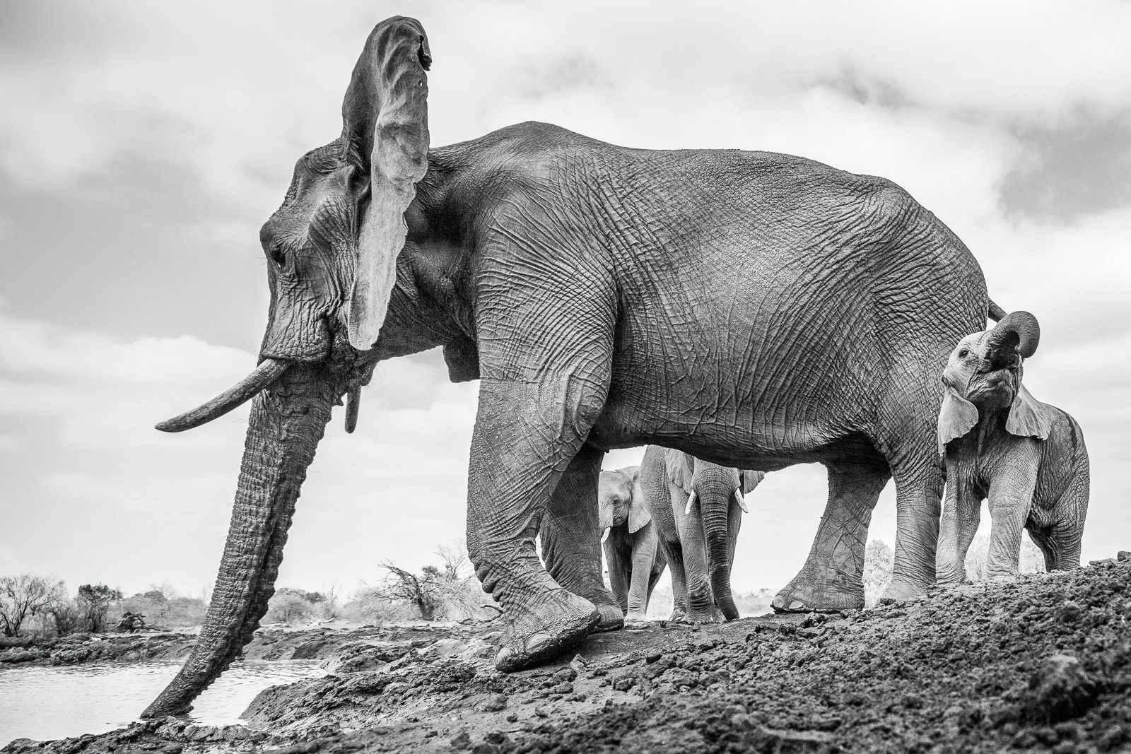 09450709082019221 ©SimonePaleari