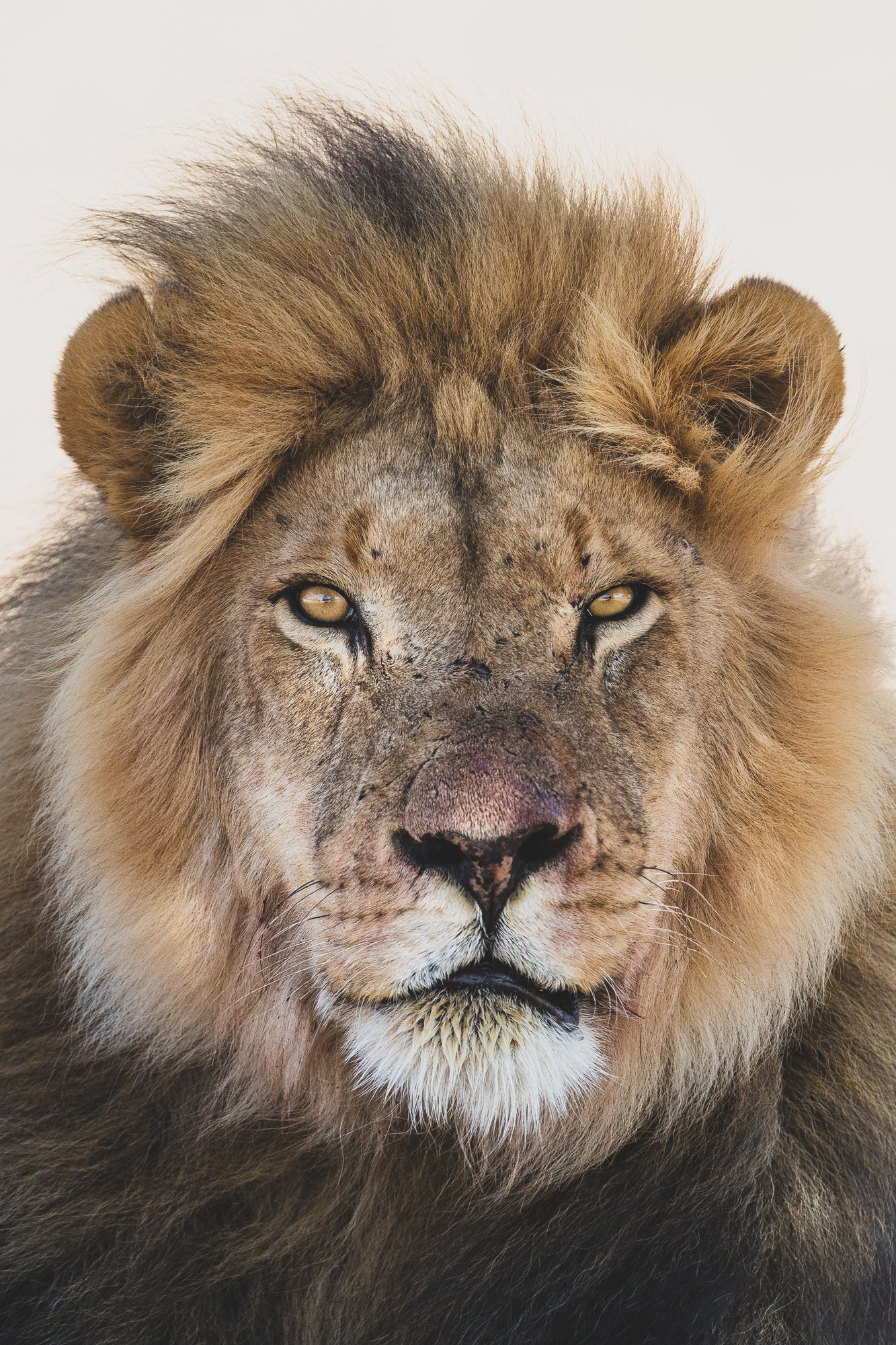 11071022082019234 ©SimonePaleari