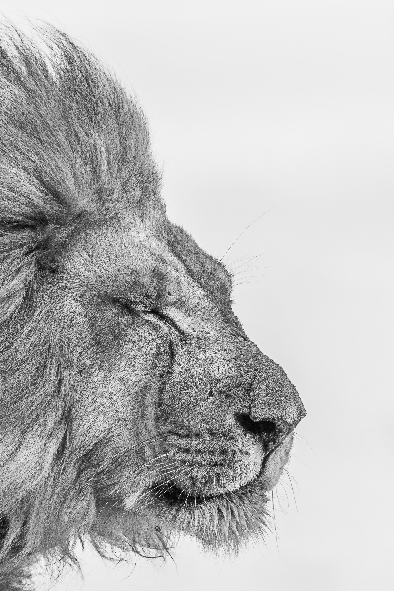 11093622082019234 ©SimonePaleari