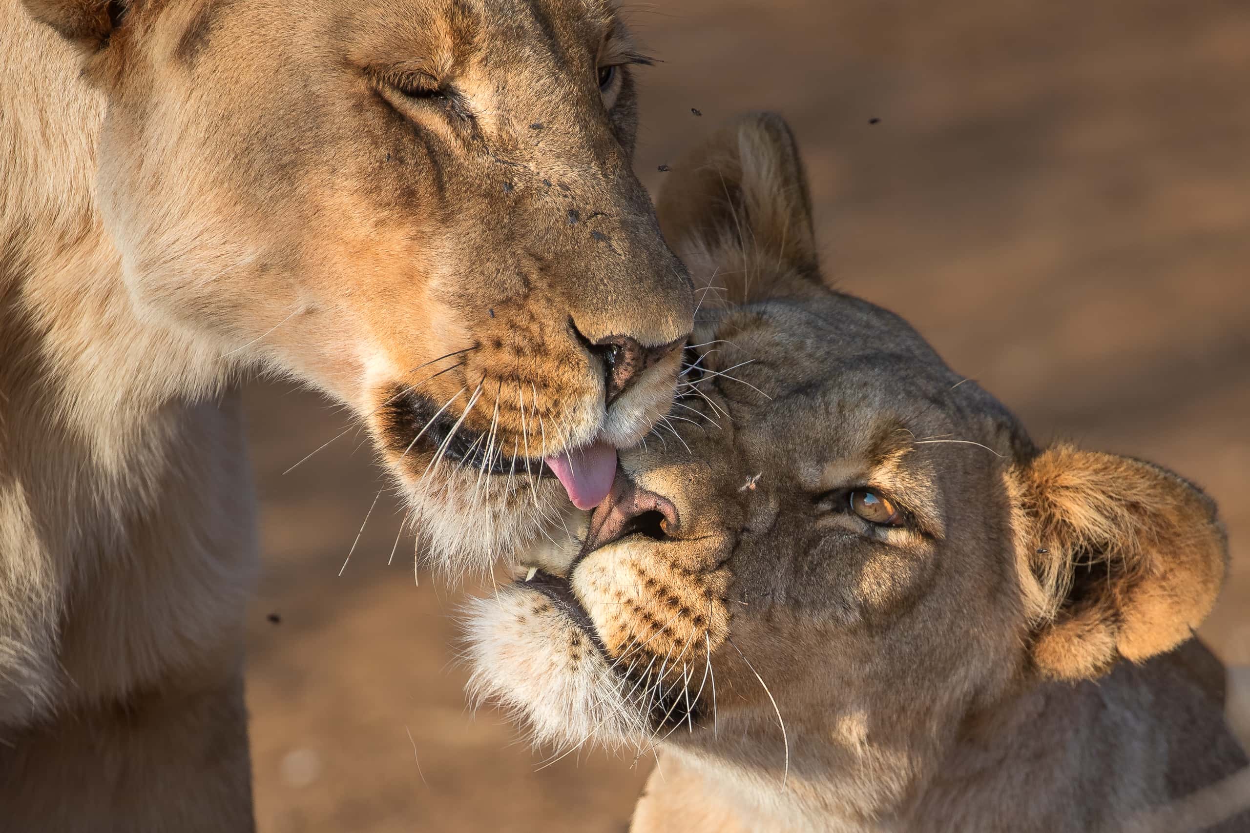 16254913082019225 ©SimonePaleari