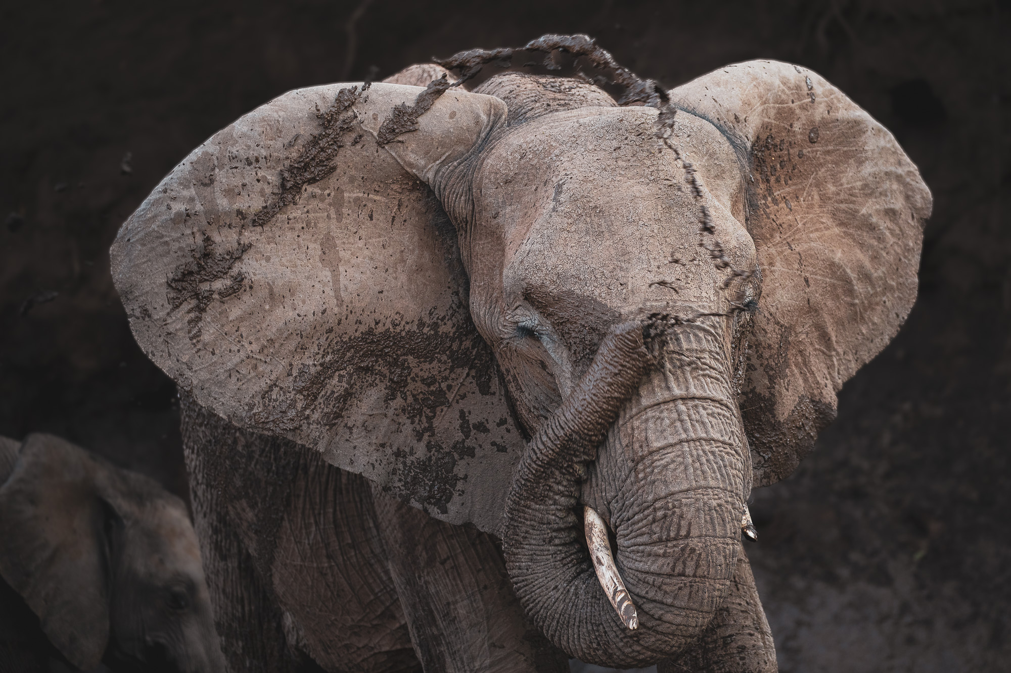 16290908082019220 ©SimonePaleari