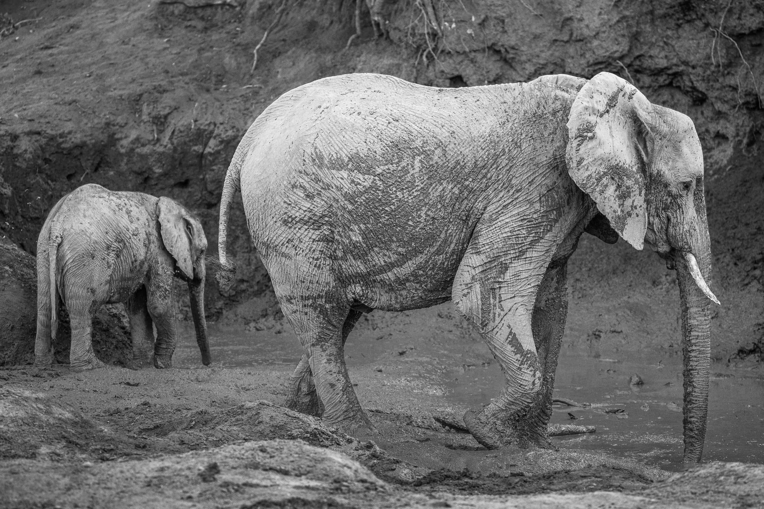 16295208082019220 ©SimonePaleari