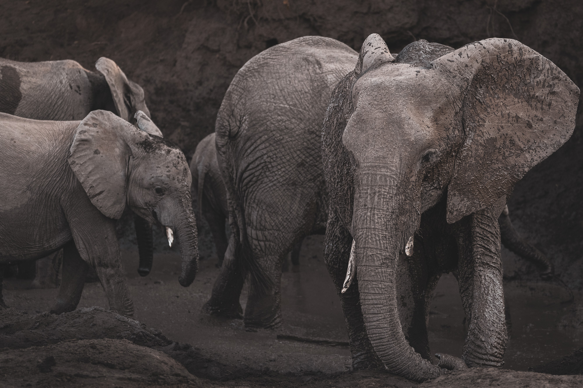 16311508082019220 ©SimonePaleari