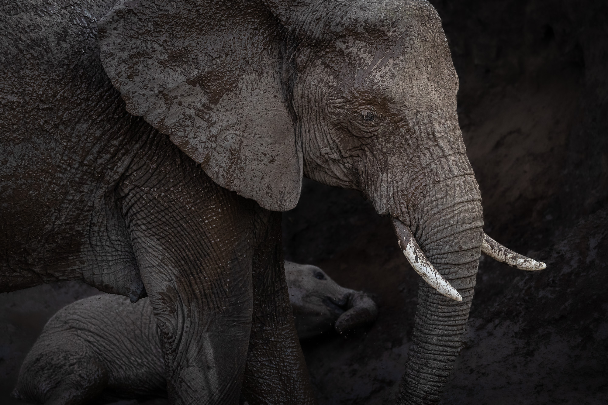 16314508082019220 ©SimonePaleari