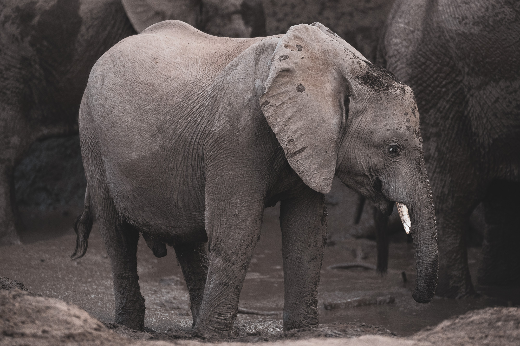 16315808082019220 ©SimonePaleari