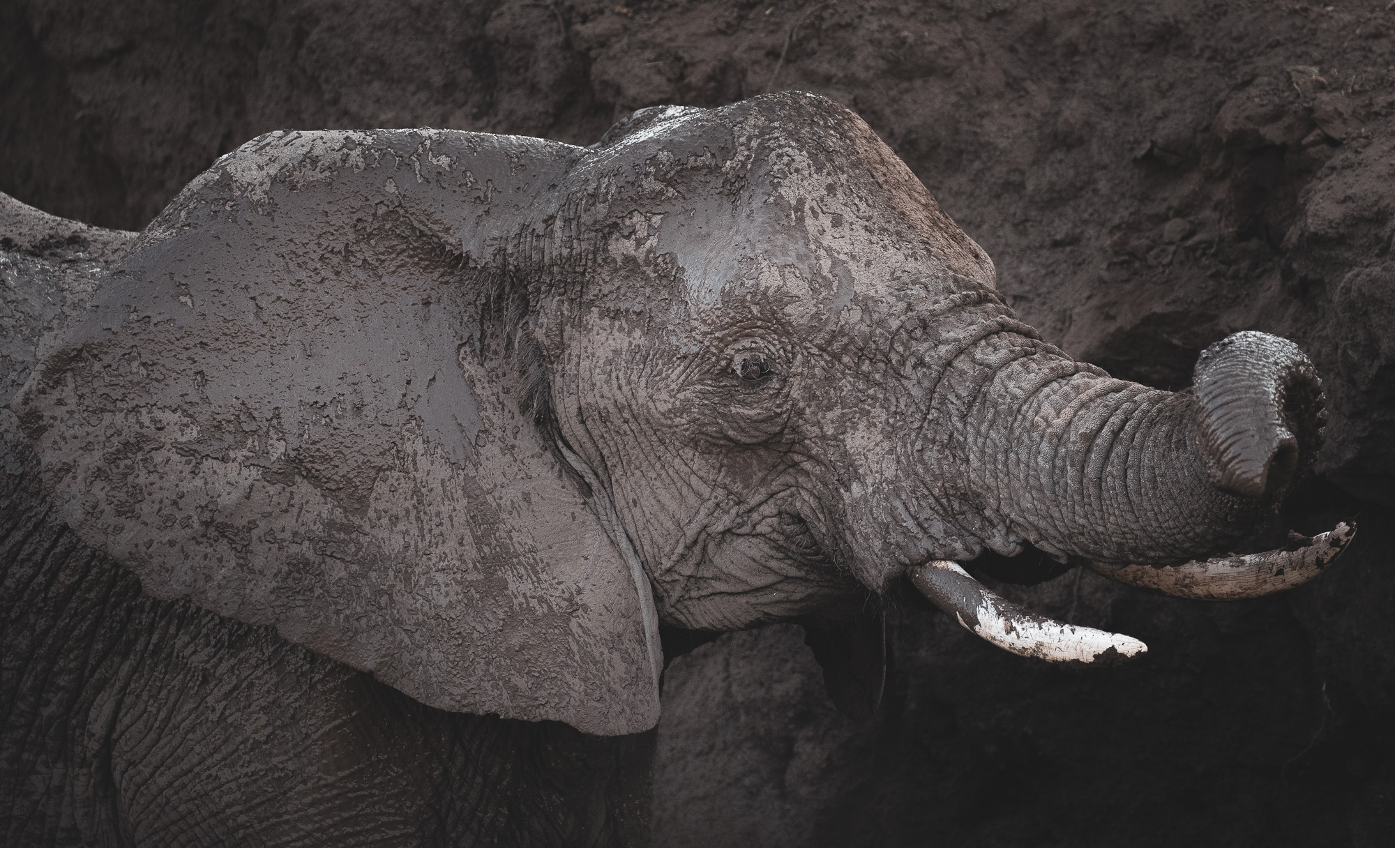 16321708082019220 ©SimonePaleari