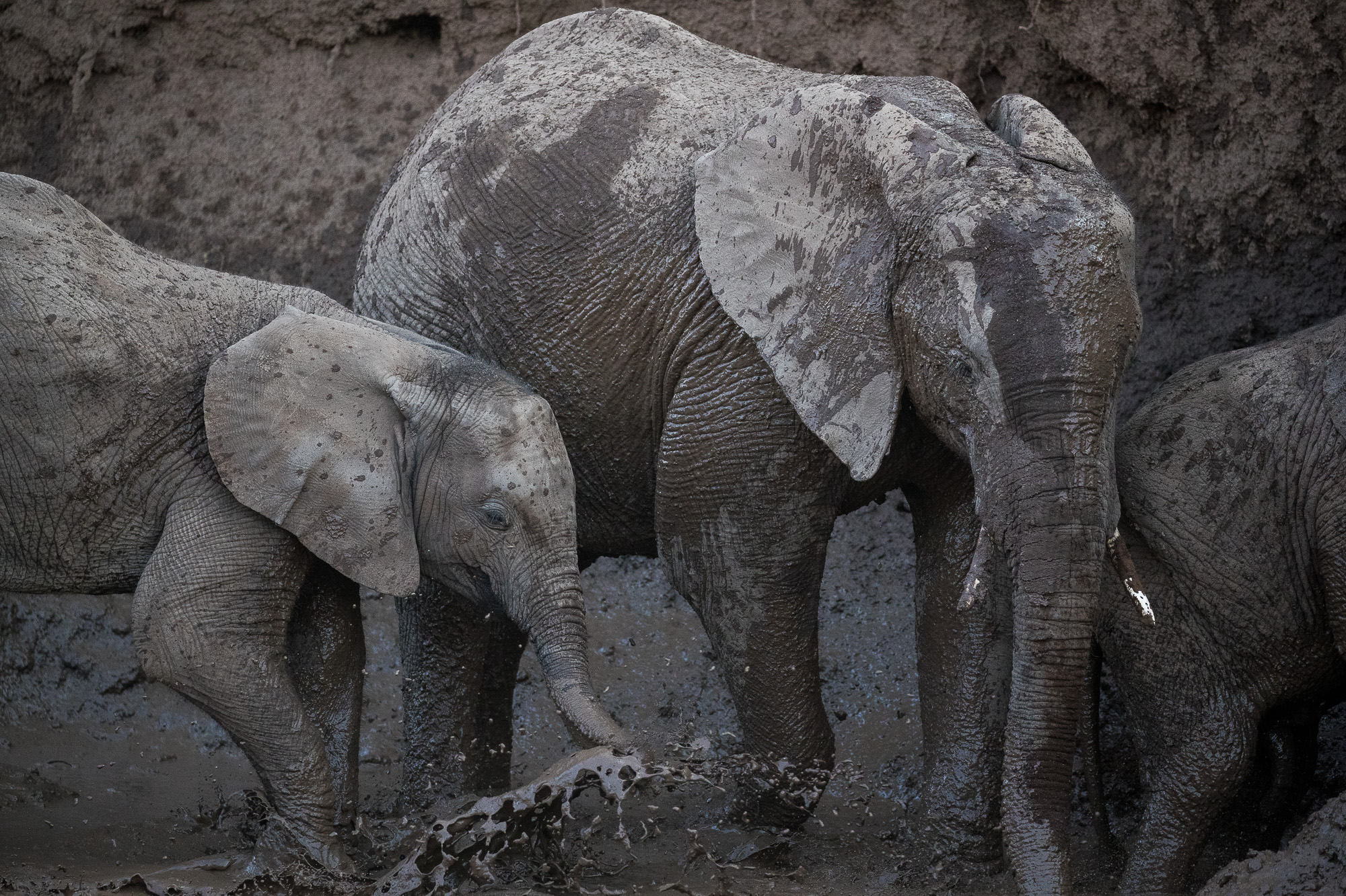 16325808082019220 ©SimonePaleari