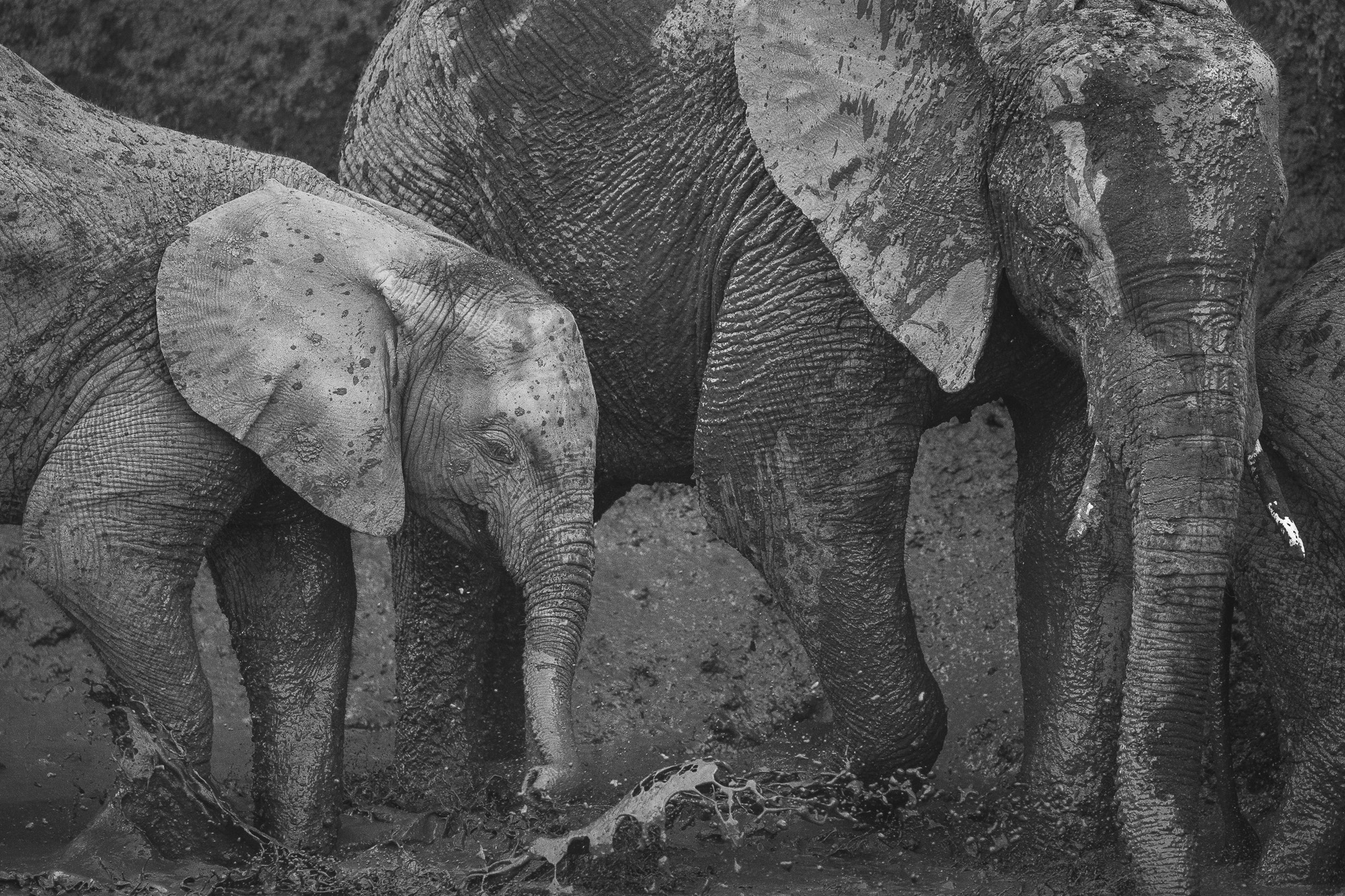 16325908082019220 ©SimonePaleari