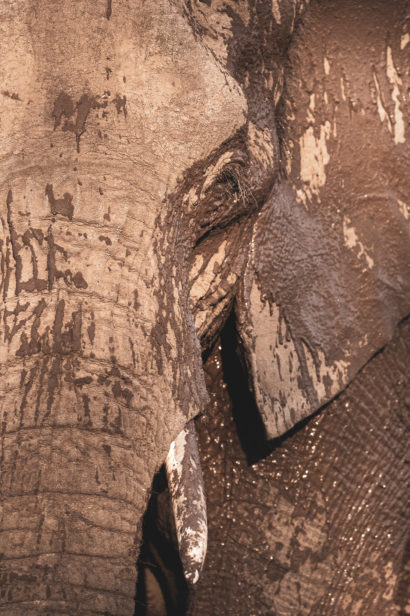 16355408082019220 ©SimonePaleari