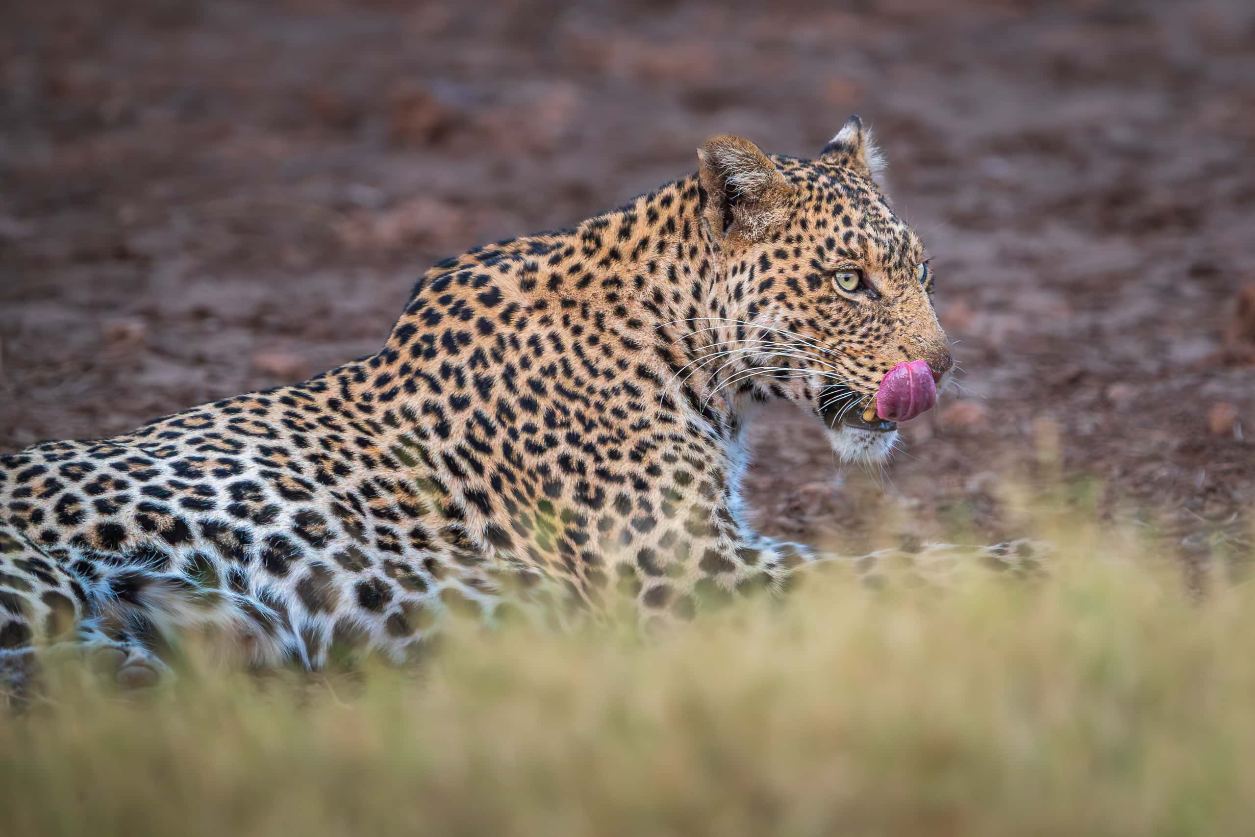 17272408082019220 ©SimonePaleari