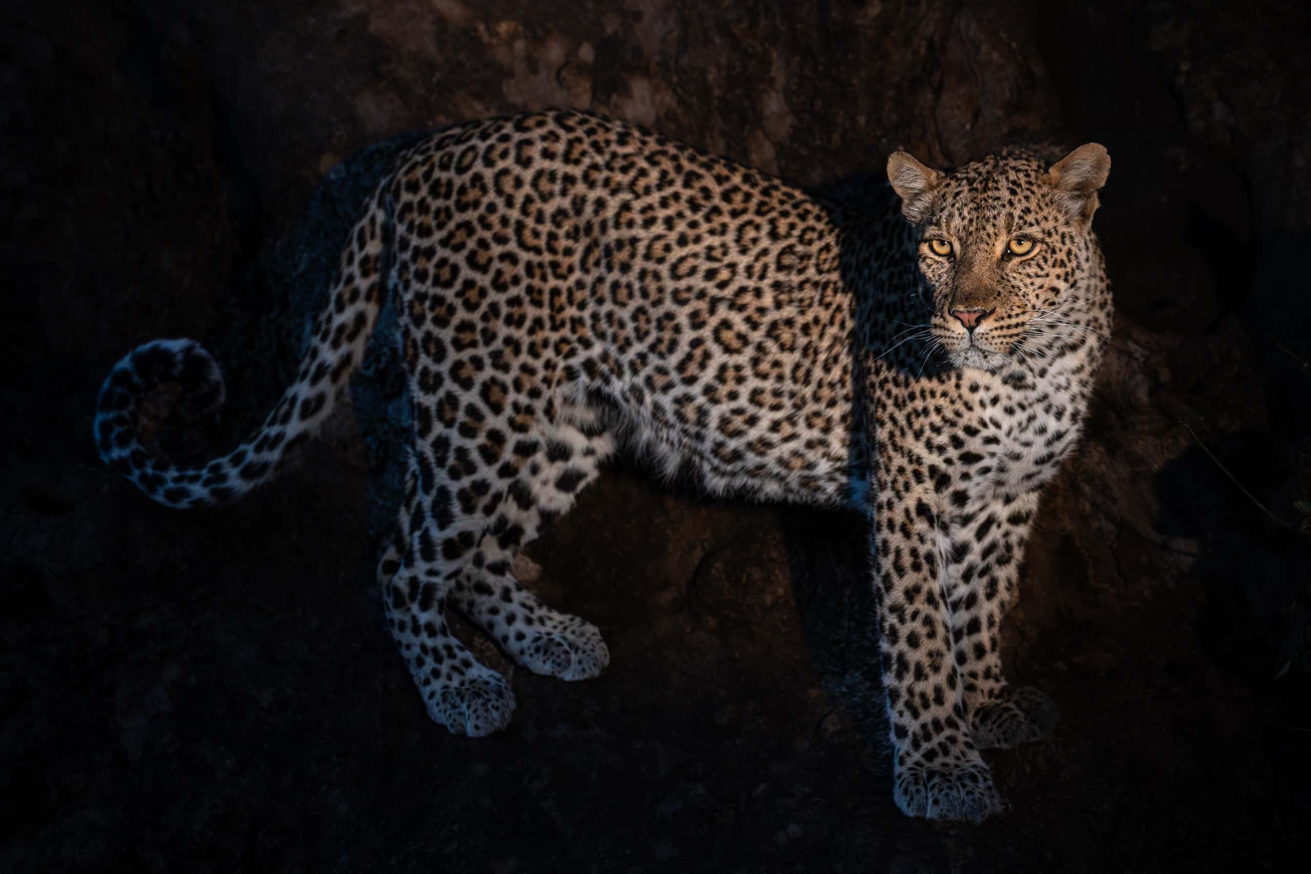 17450209082019221 ©SimonePaleari