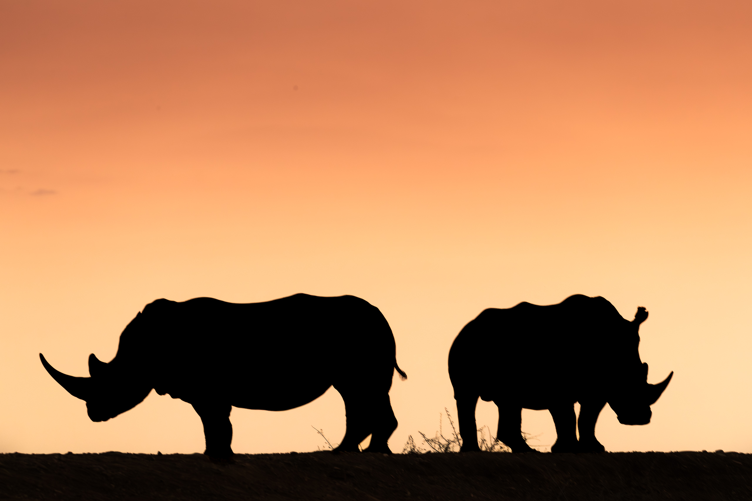 18093813082019225 3©SimonePaleari