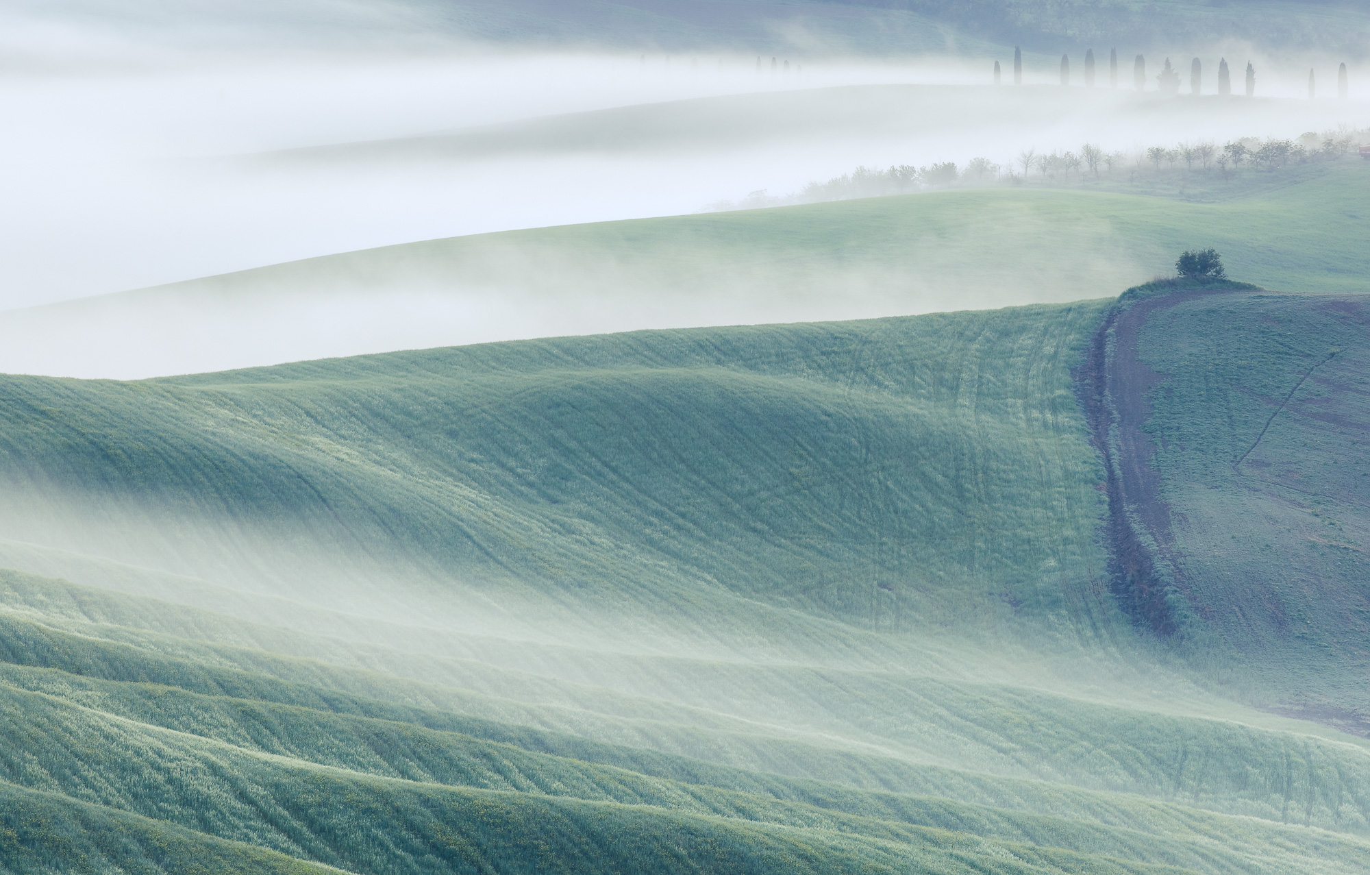 06104126042025116 ©SimonePaleari