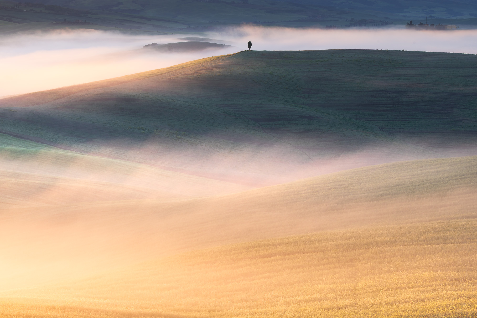 06283326042025116 ©SimonePaleari