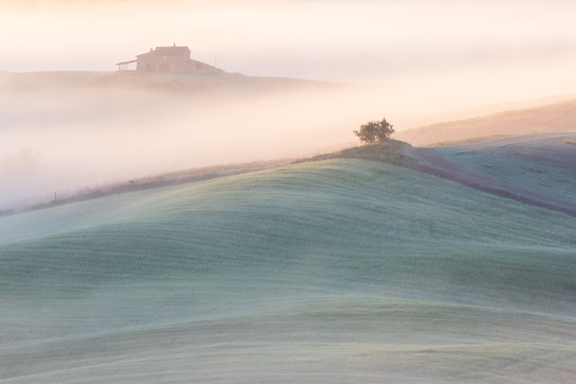 06295426042025116 ©SimonePaleari