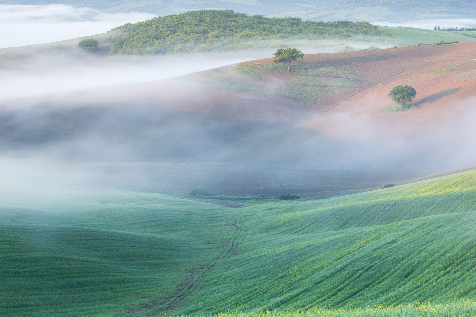 06341926042025116 ©SimonePaleari