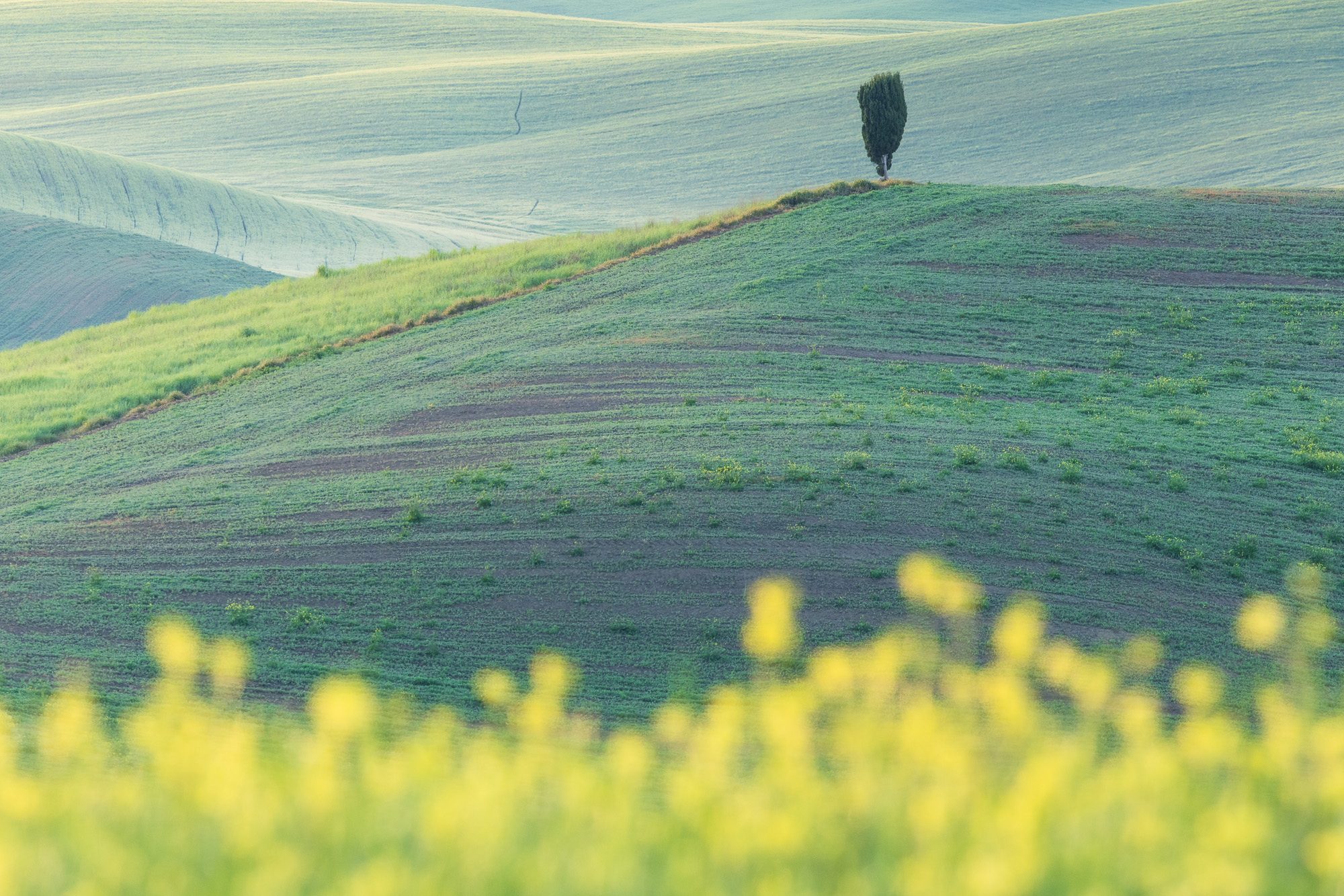 06380827042025117 2©SimonePaleari