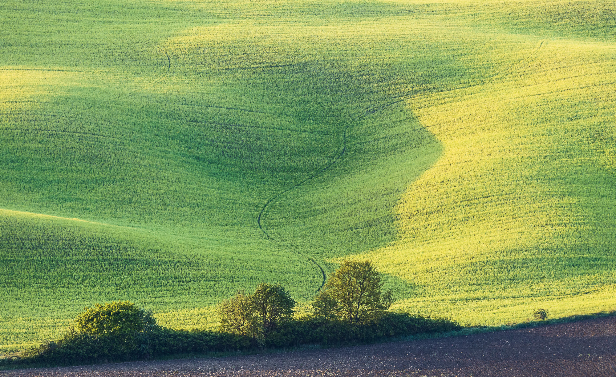 06564725042025115 ©SimonePaleari