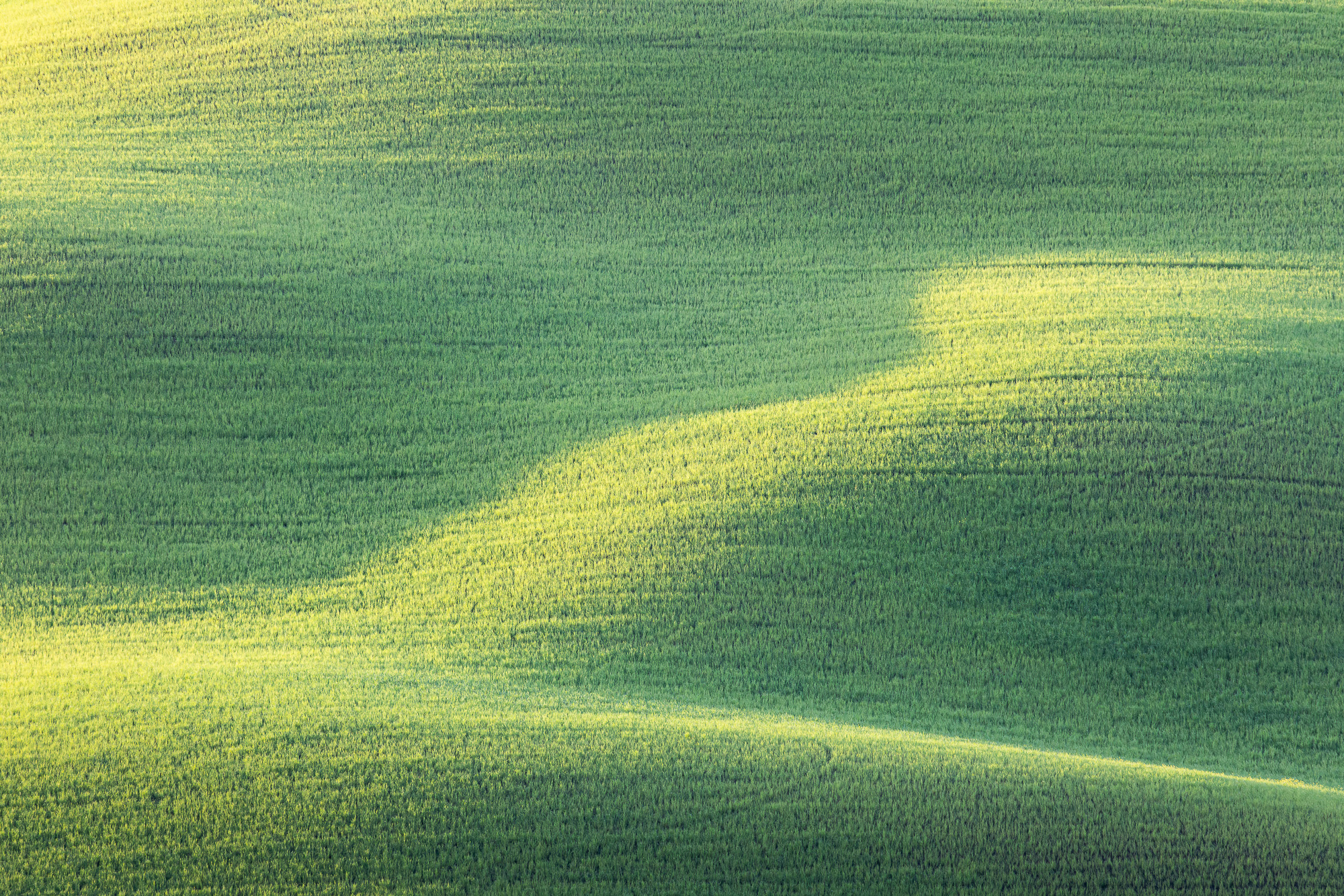 06570325042025115 ©SimonePaleari