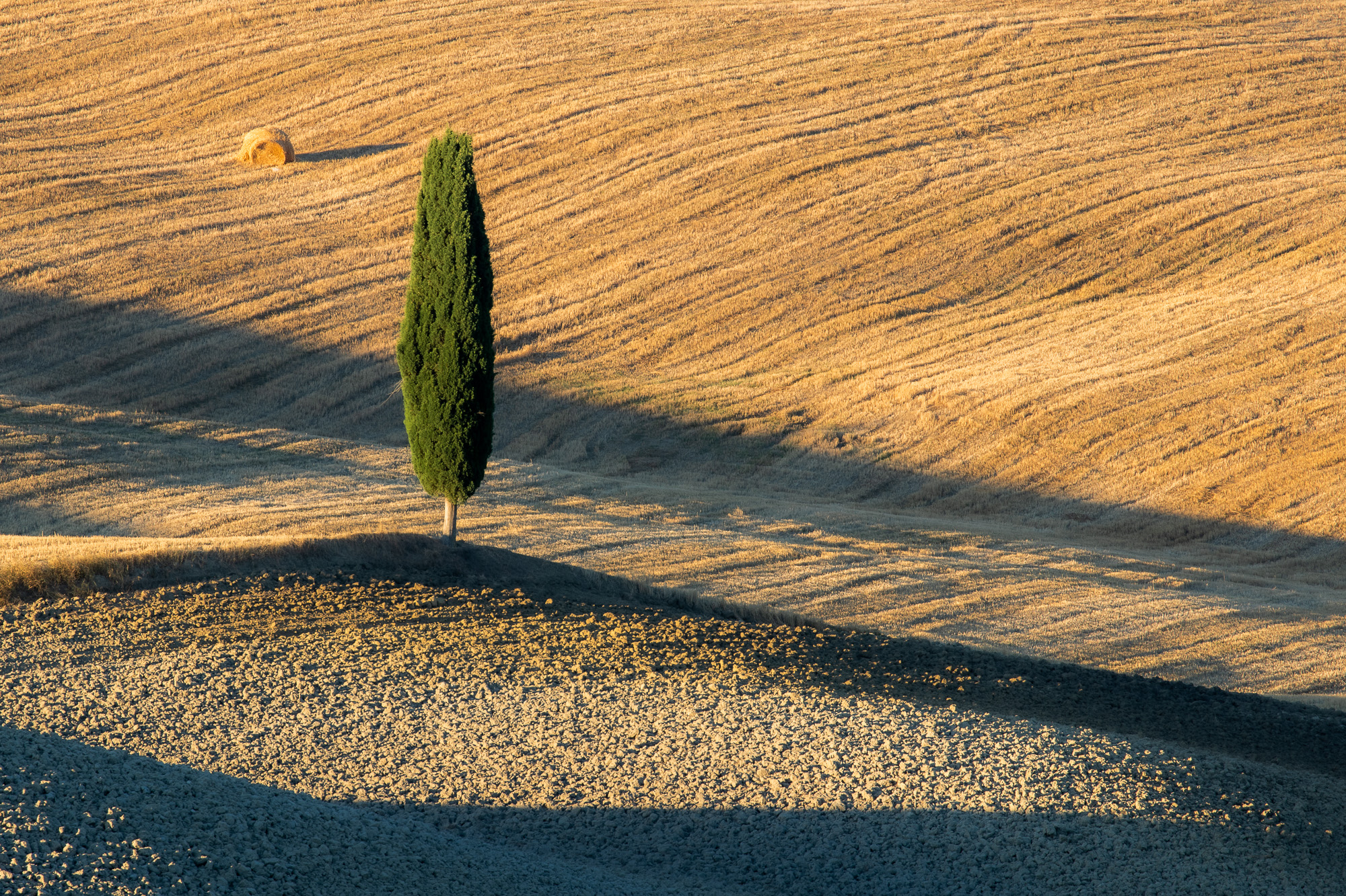 07085321082020234 ©SimonePaleari