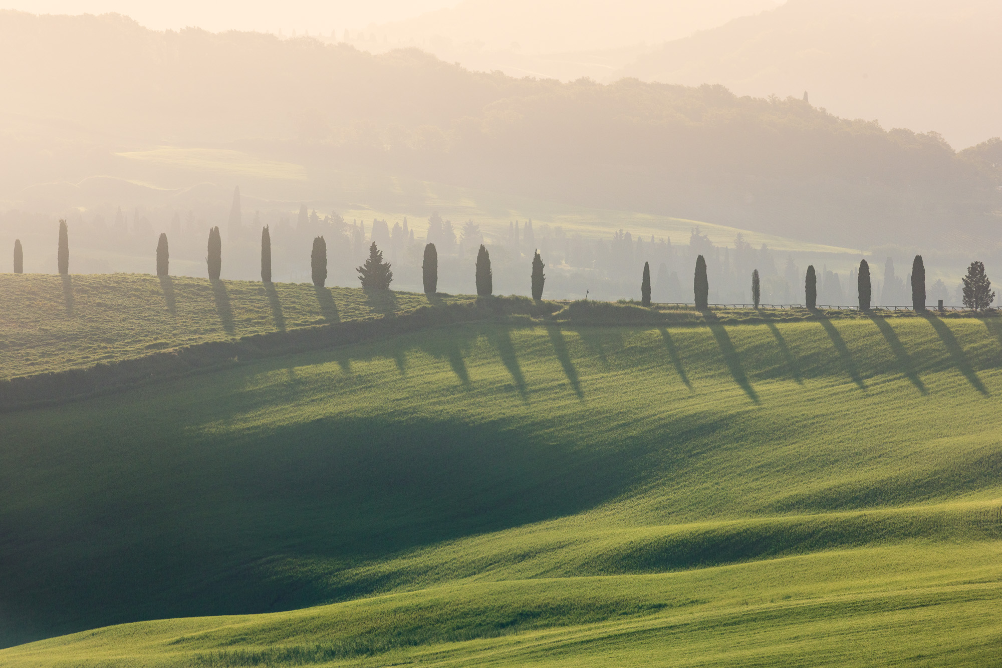 07175425042025115 ©SimonePaleari