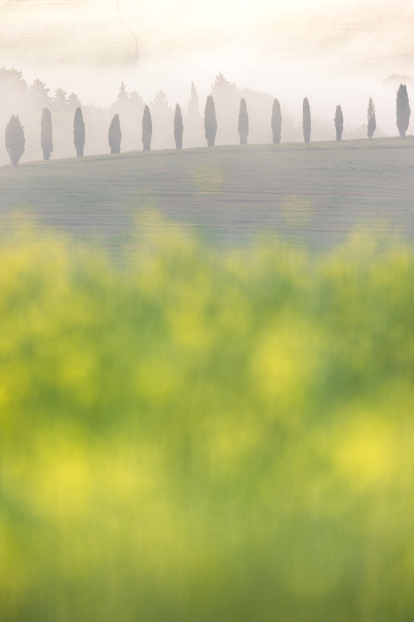 07334326042025116 3©SimonePaleari