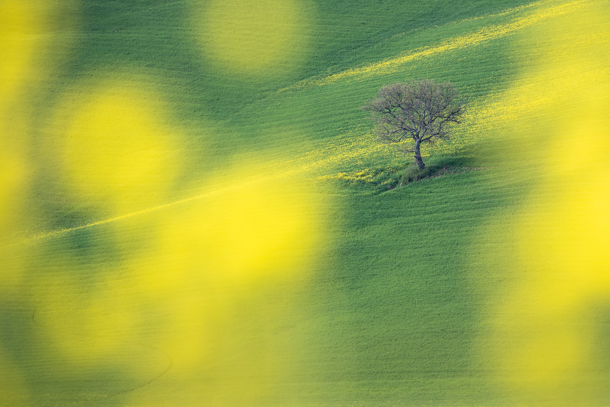 07510325042022115 ©SimonePaleari