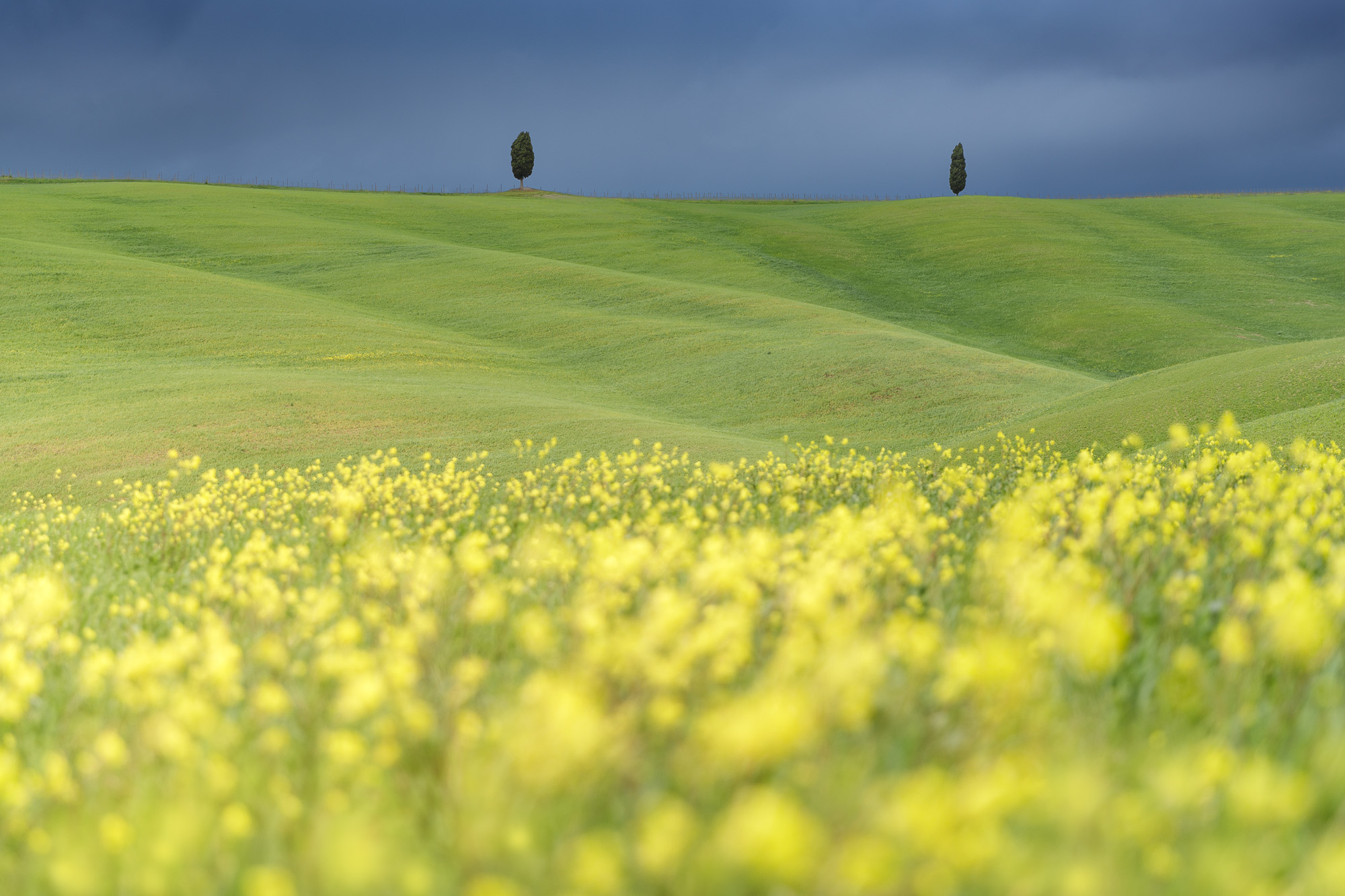 16015024042022114 ©SimonePaleari