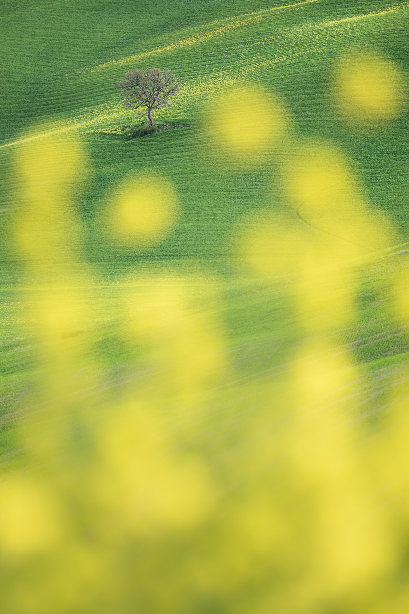 17151023042022113 ©SimonePaleari