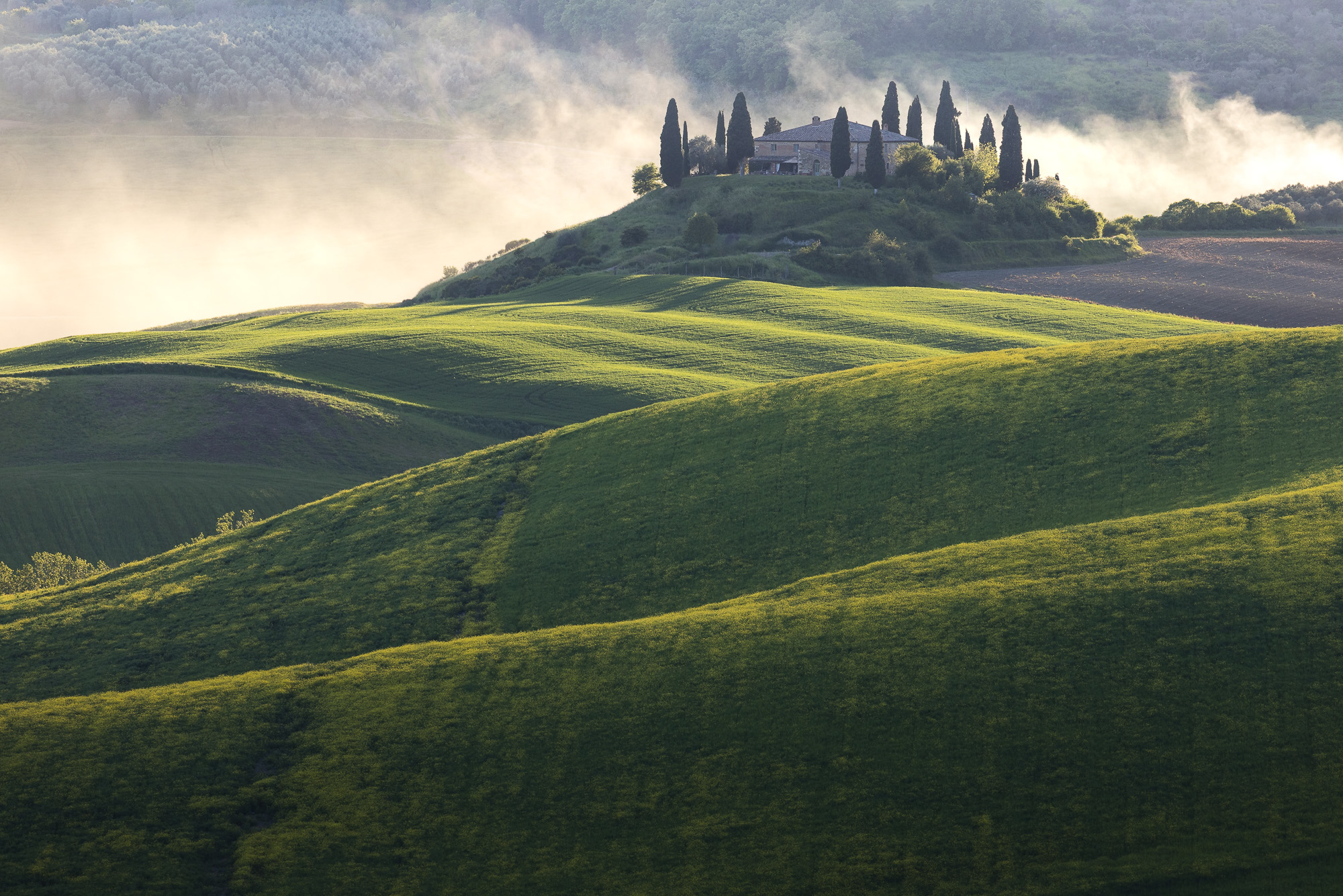 19202426042025116 ©SimonePaleari