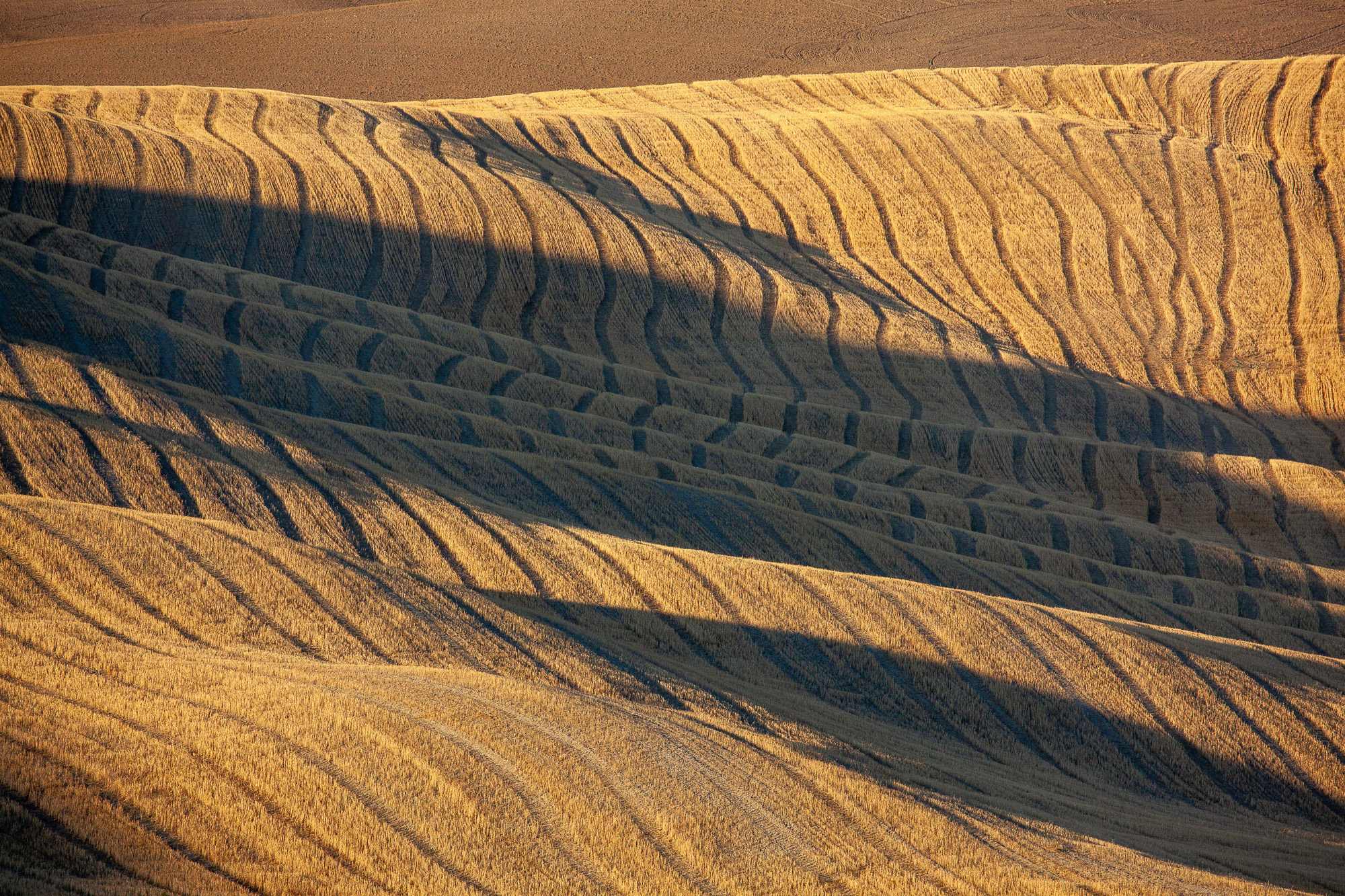 19272715082020228 ©SimonePaleari