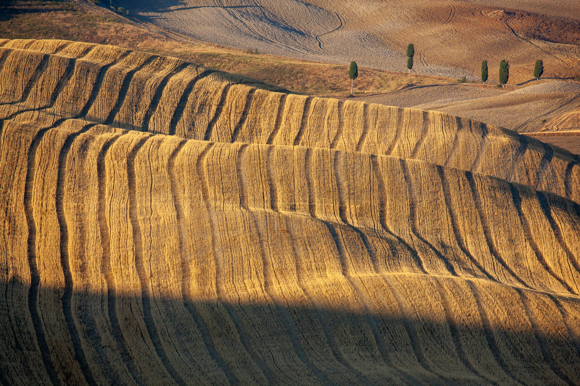 19283415082020228 ©SimonePaleari