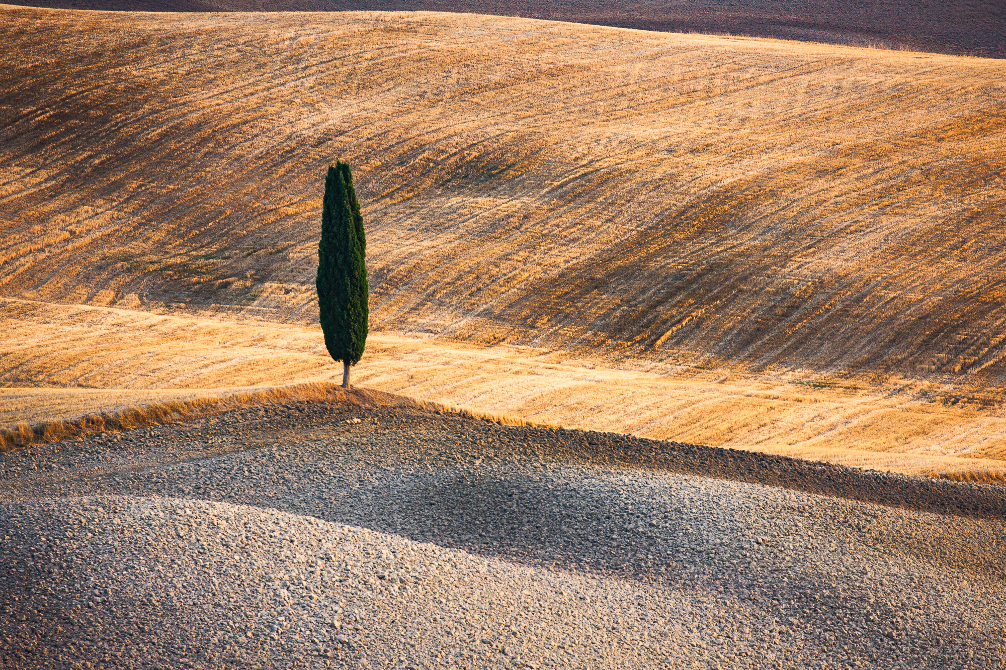 19460517082020230 ©SimonePaleari