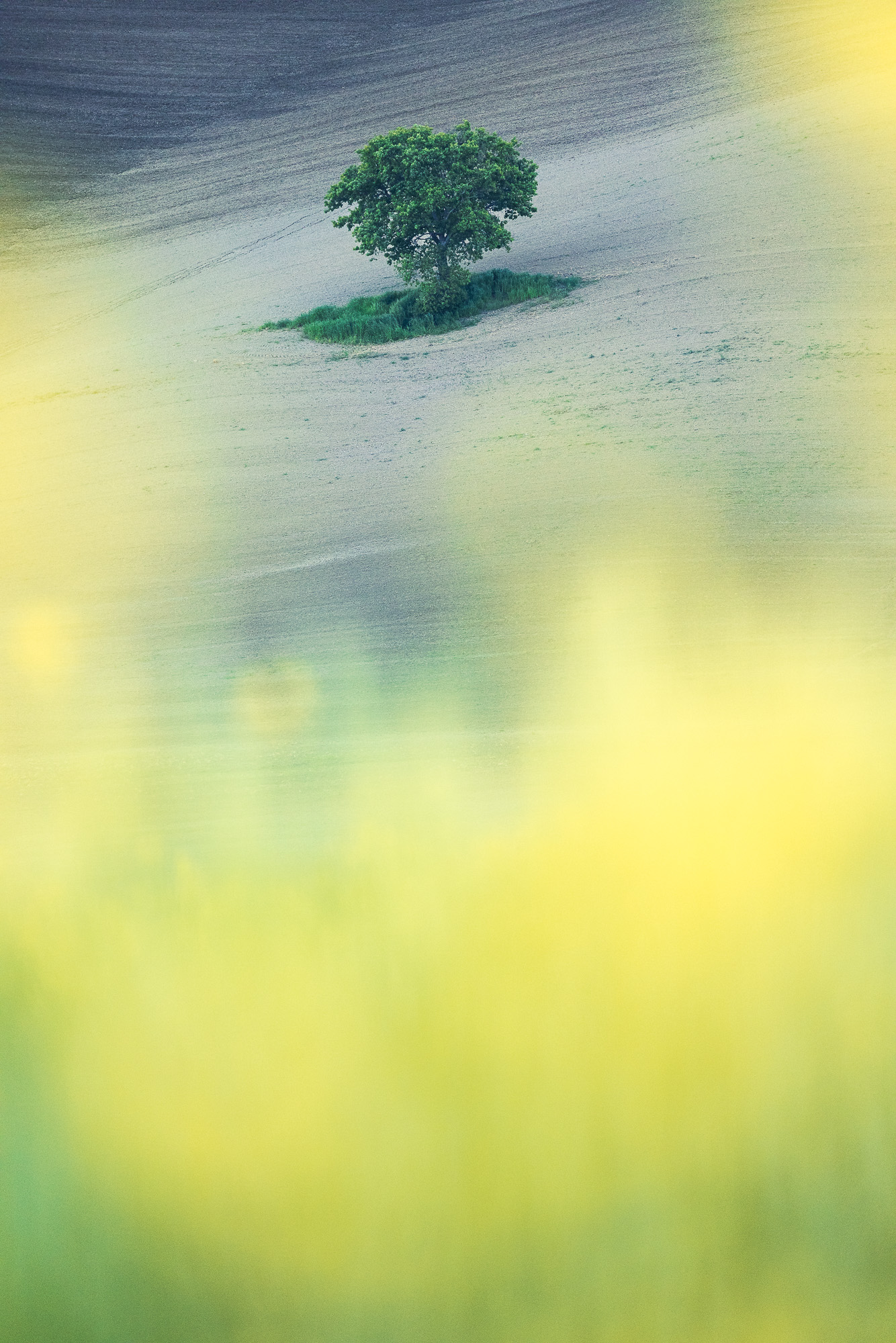 19503626042025116 ©SimonePaleari