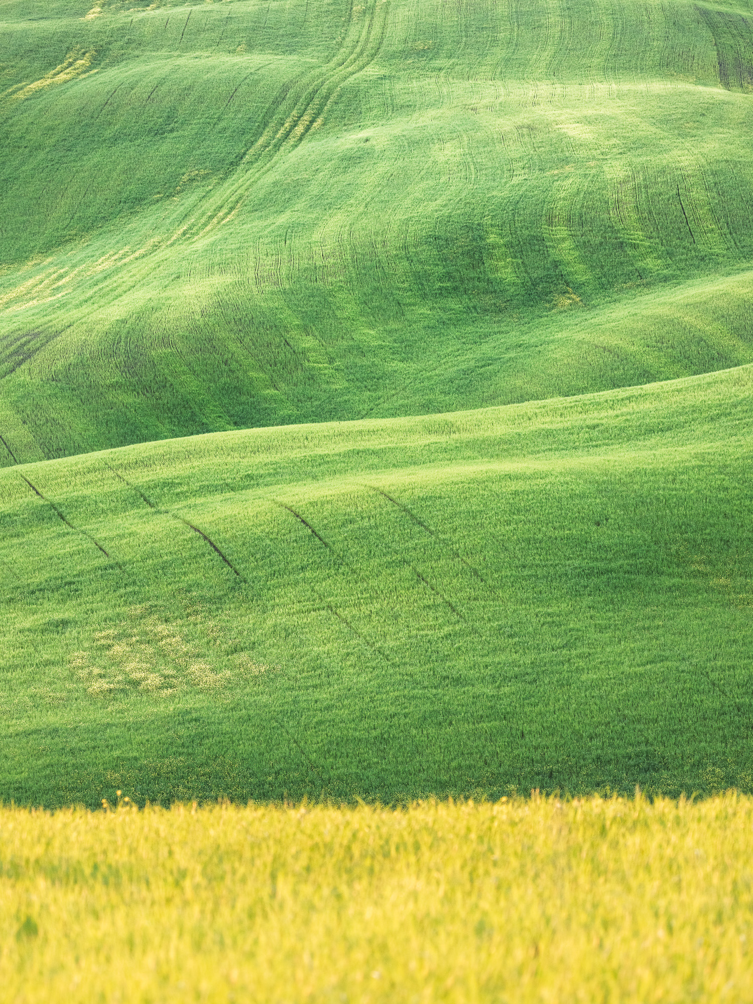 19580225042025115 2©SimonePaleari