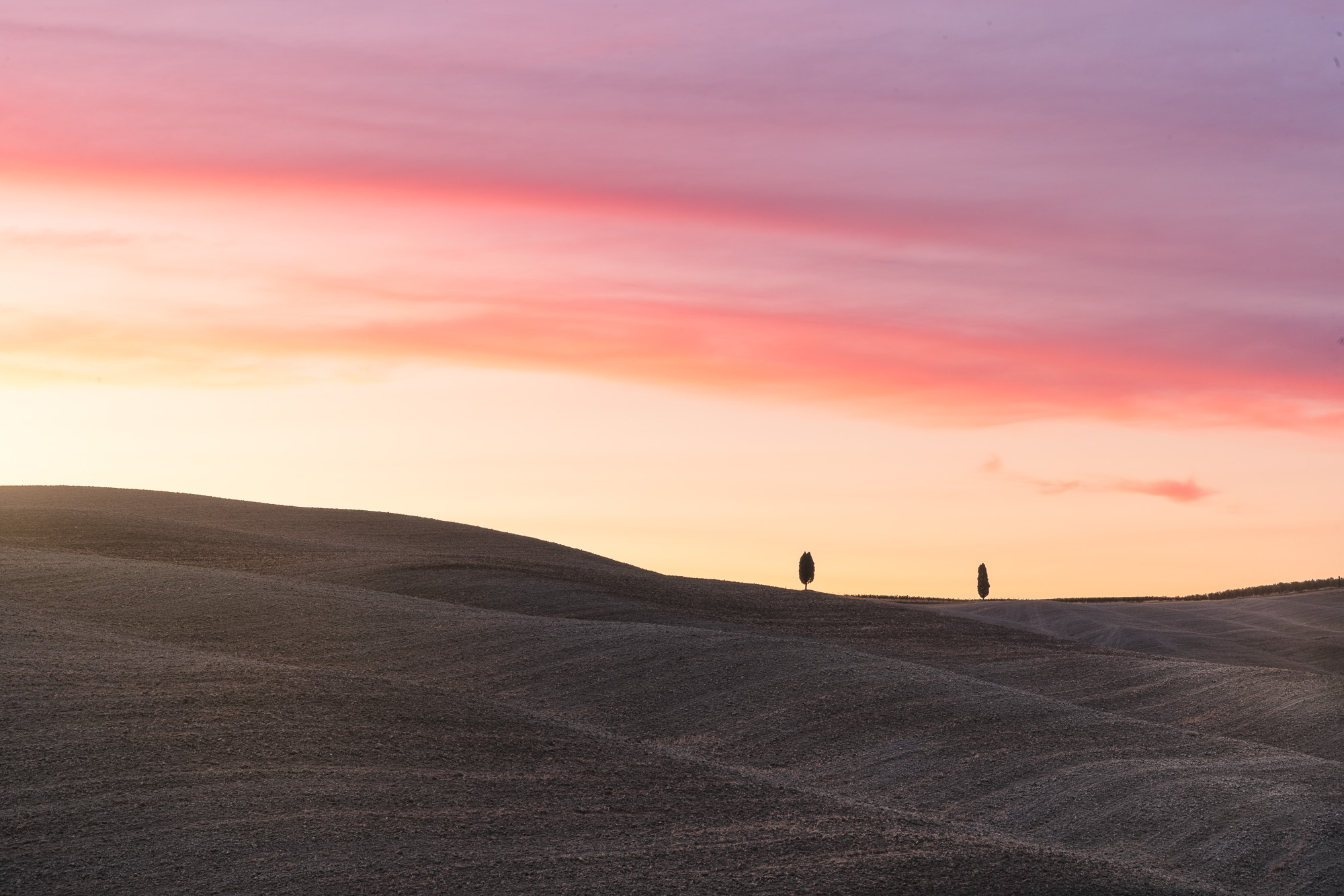 20450802082021214 ©SimonePaleari