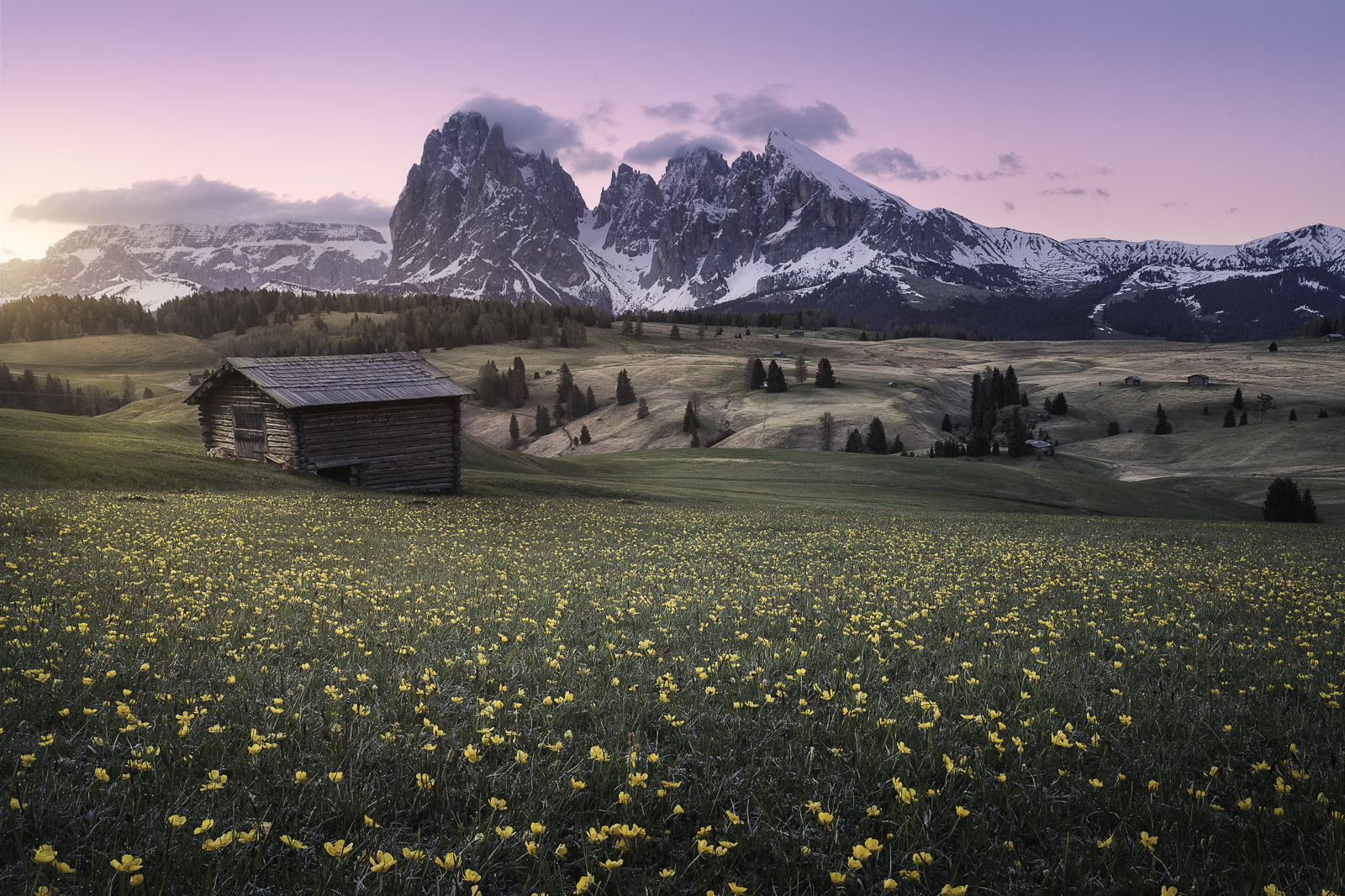 05272730052021150 ©SimonePaleari