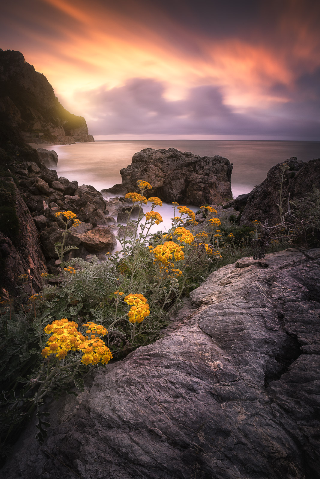 05593316052021136 ©SimonePaleari