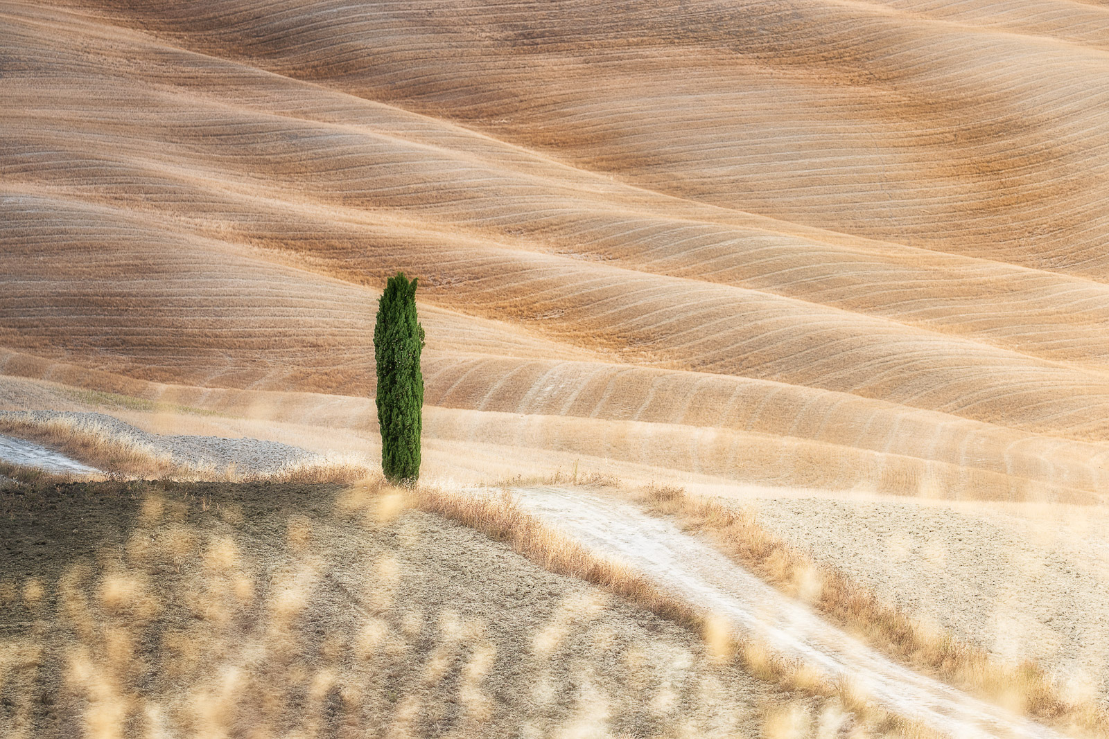 07162803082021215 ©SimonePaleari