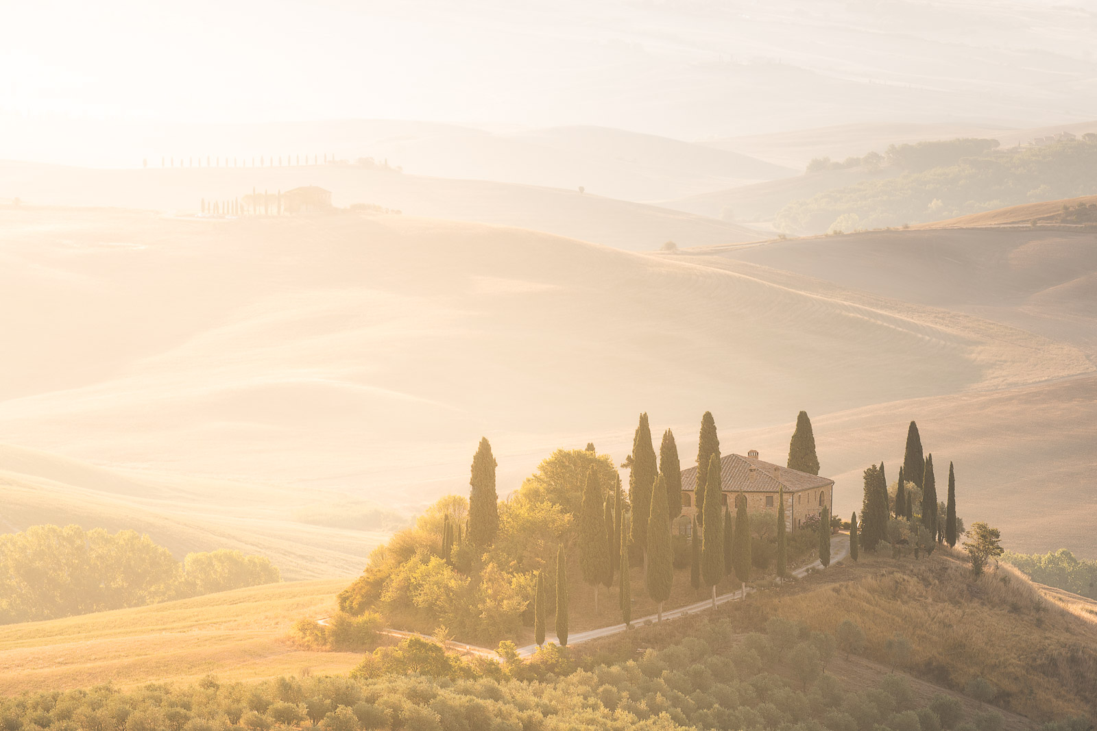 07213023082020236 ©SimonePaleari