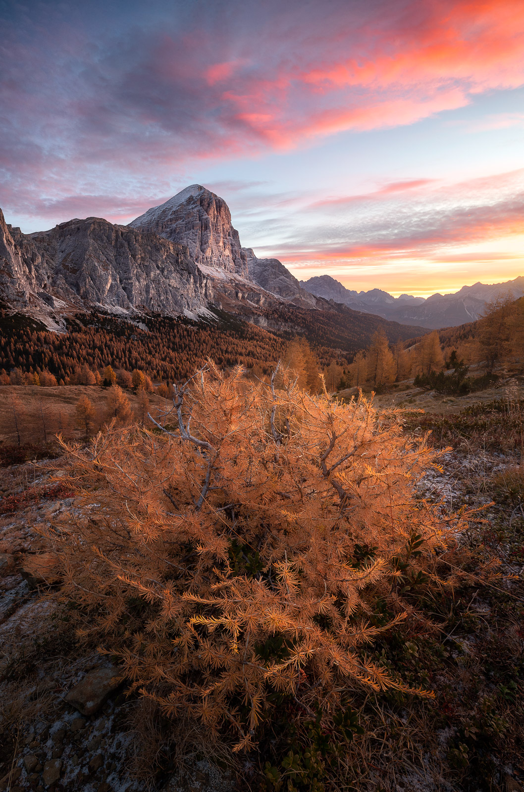 07433931102021304 ©SimonePaleari